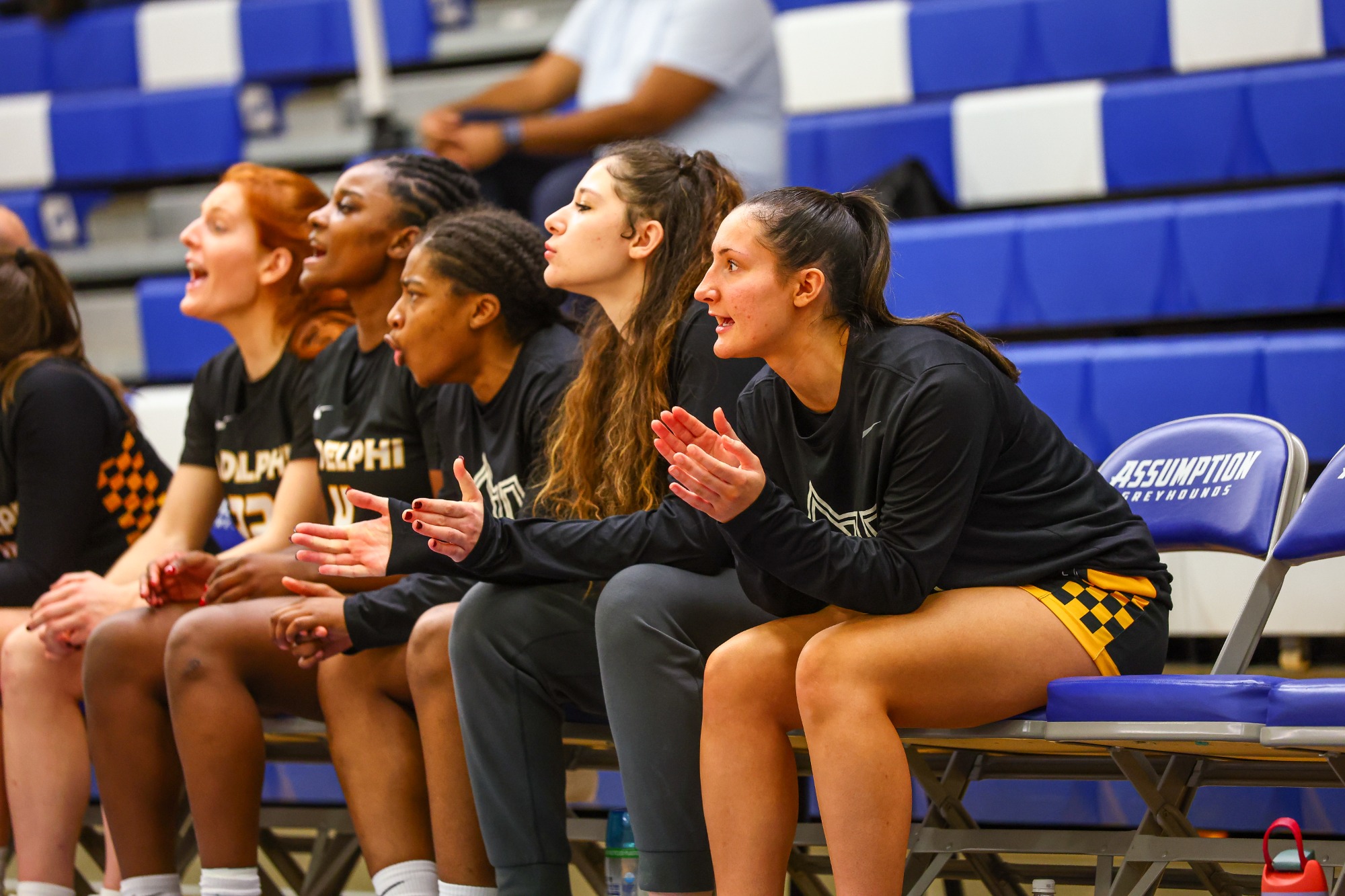 January, 7, 2026; Worcester, Massachusetts;  during a Northeast-10 conference matchup between Adelphi and Assumption. Photo by Brian Foley for Foley Photography