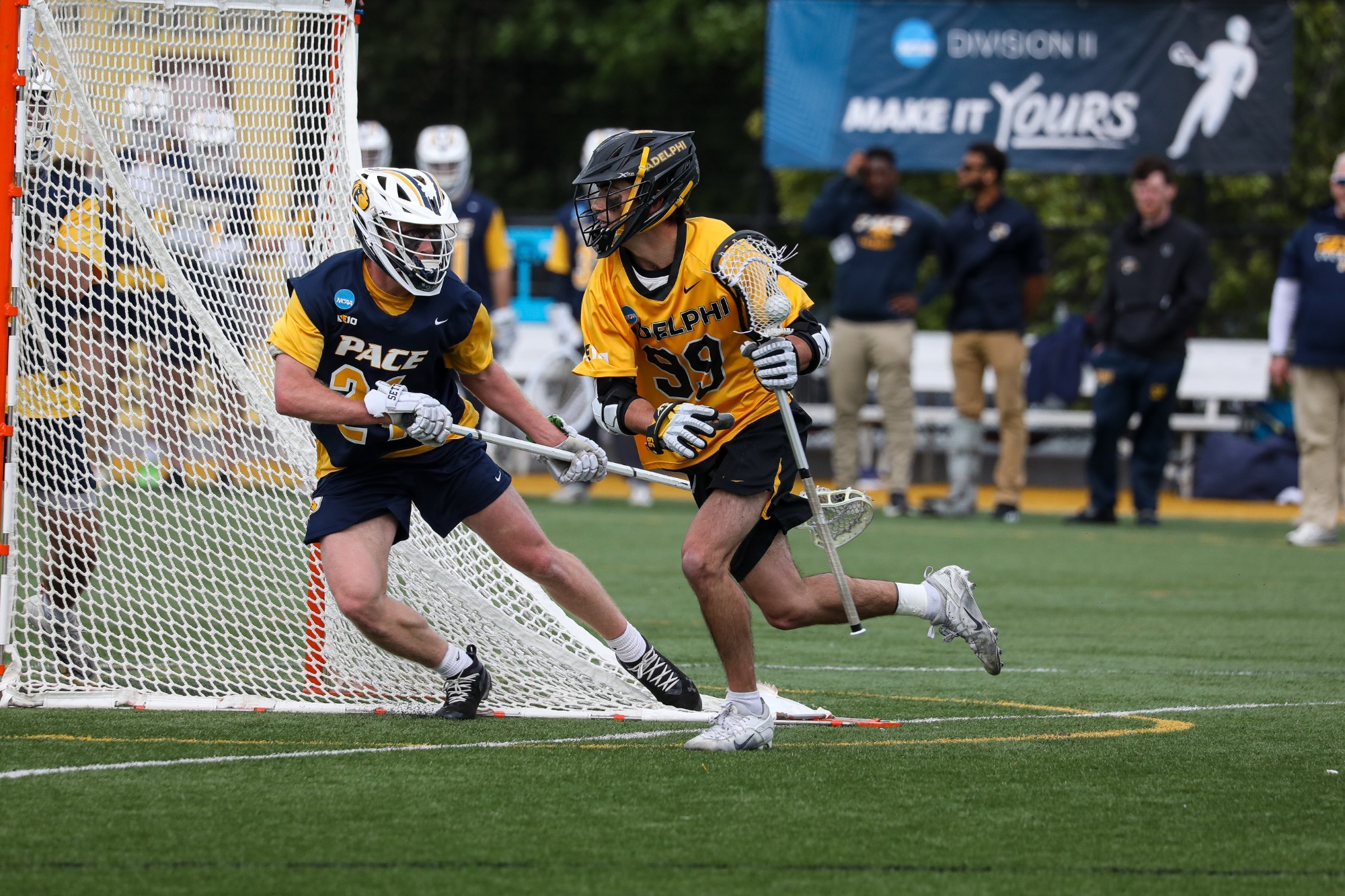 Braden Donnellan