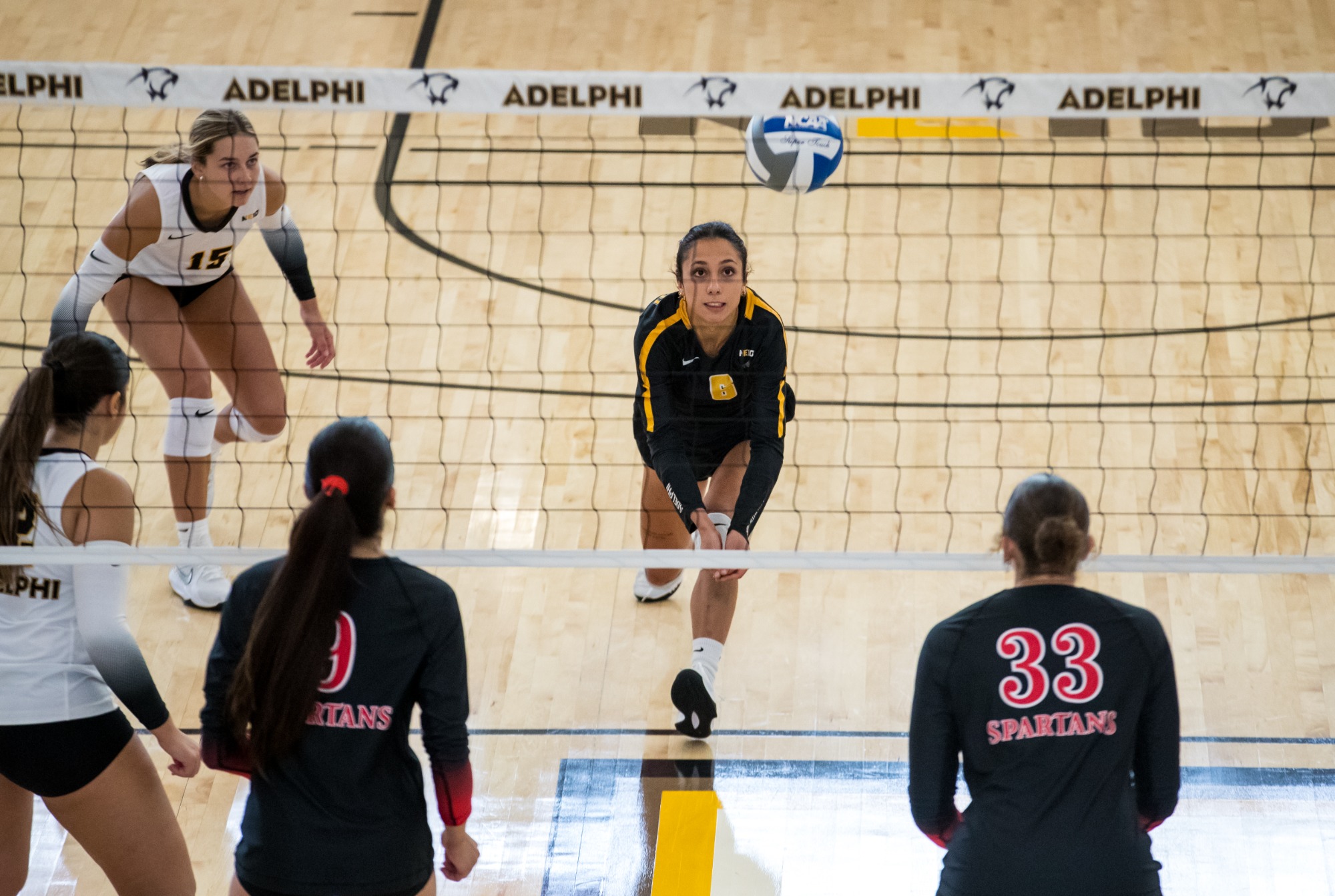 Adelphi Women's Volleyball vs. Tampa August 28