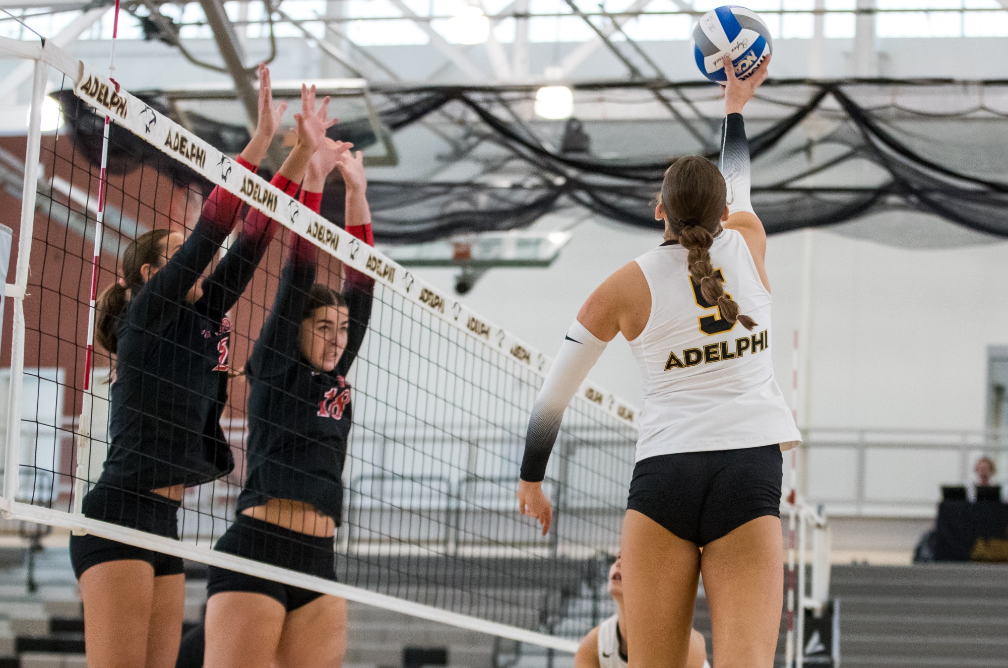 Adelphi Women's Volleyball vs. Tampa August 28