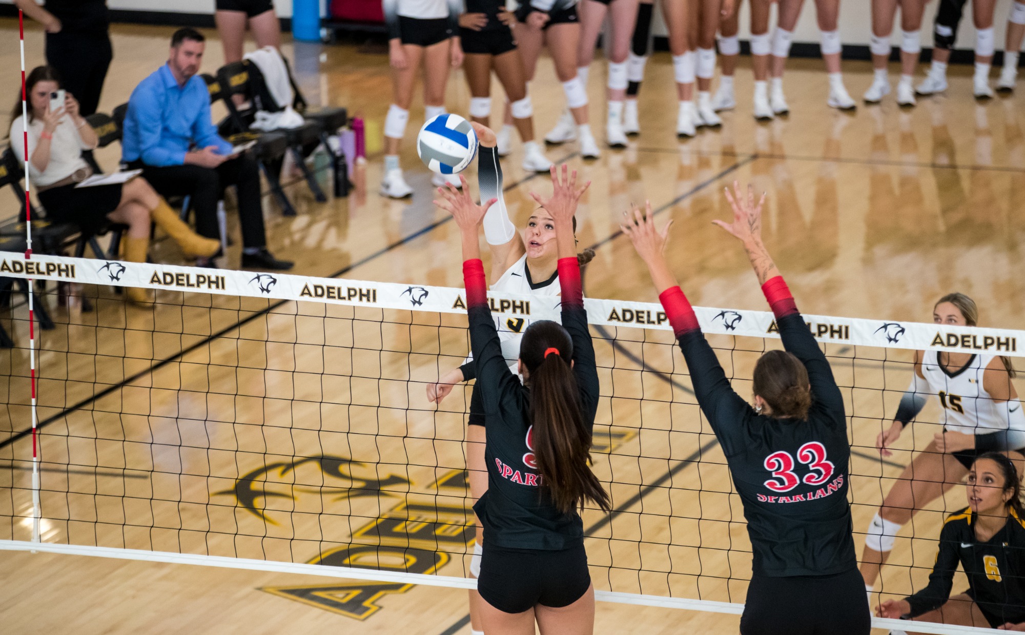Adelphi Women's Volleyball vs. Tampa August 28