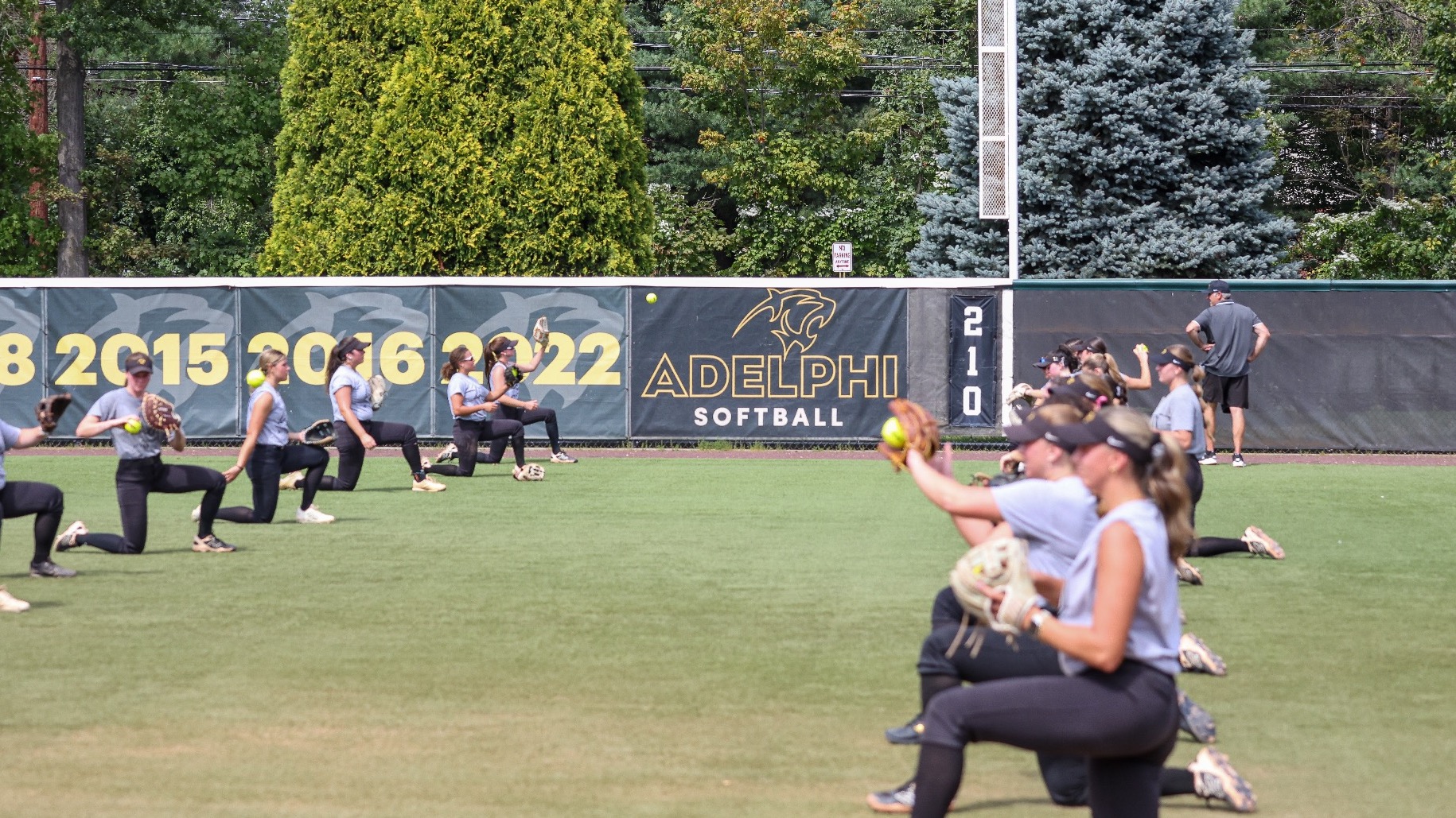 Softball Team
