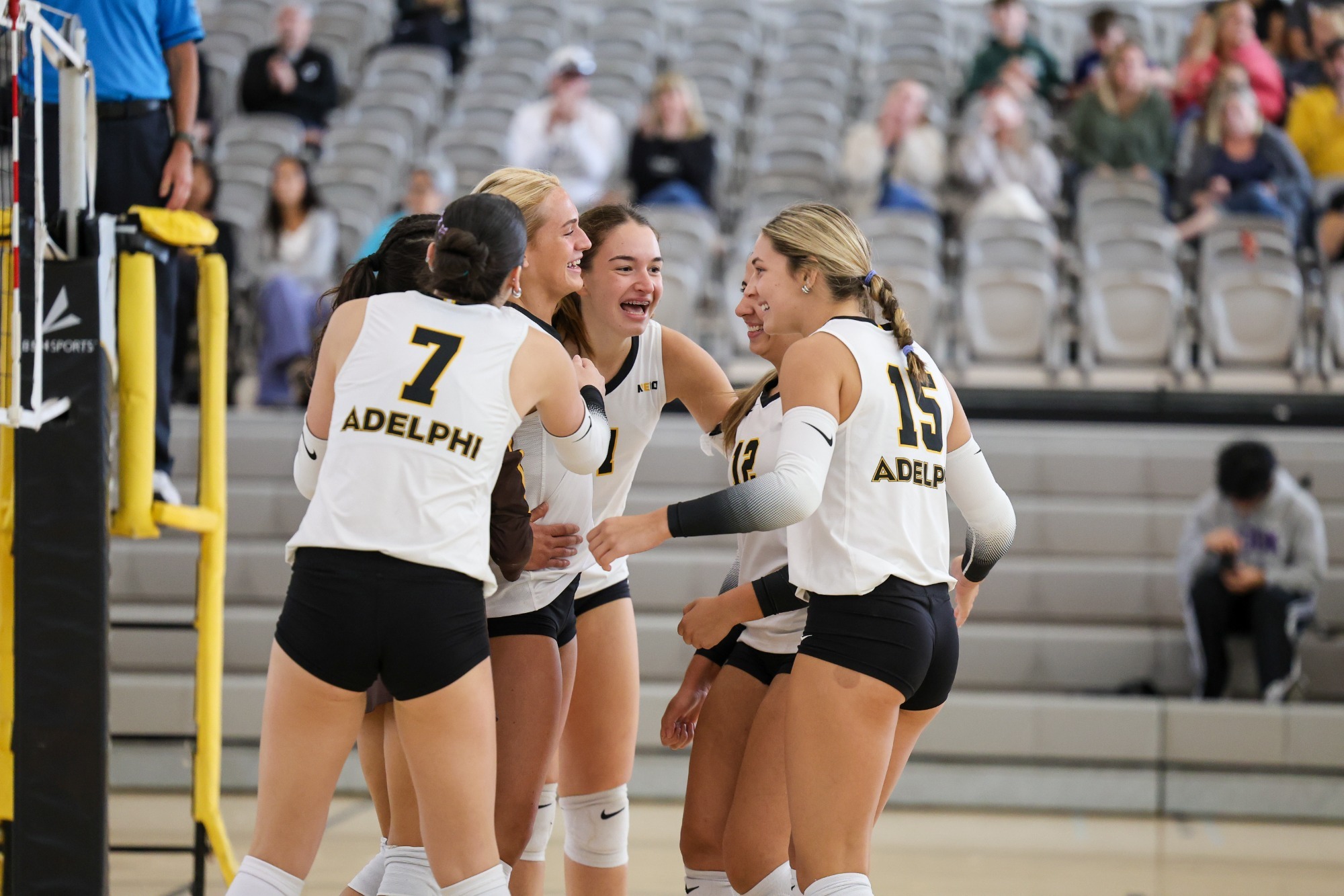 VB Team