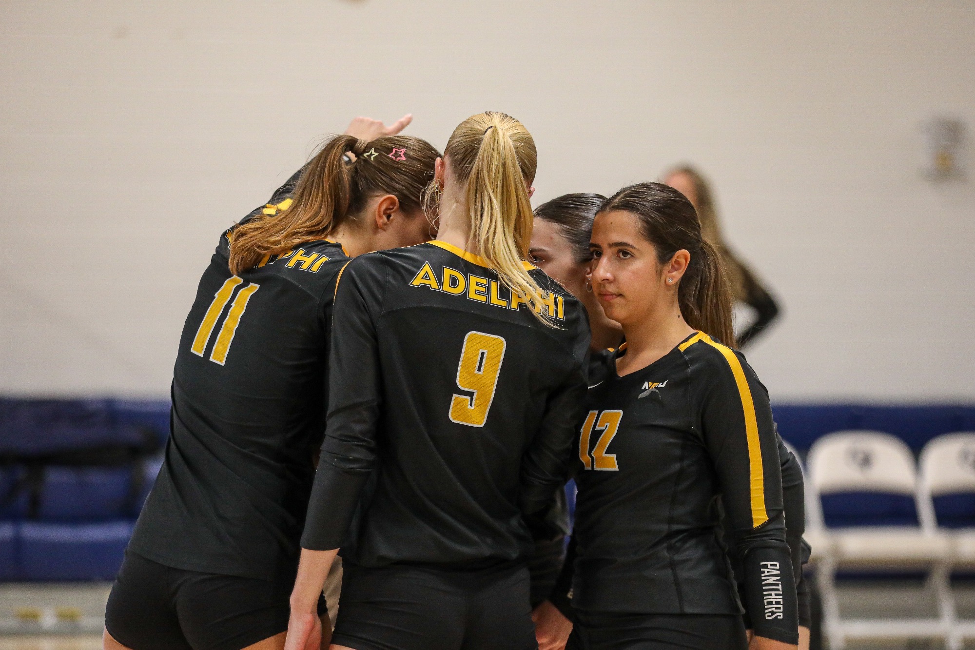 VB Team