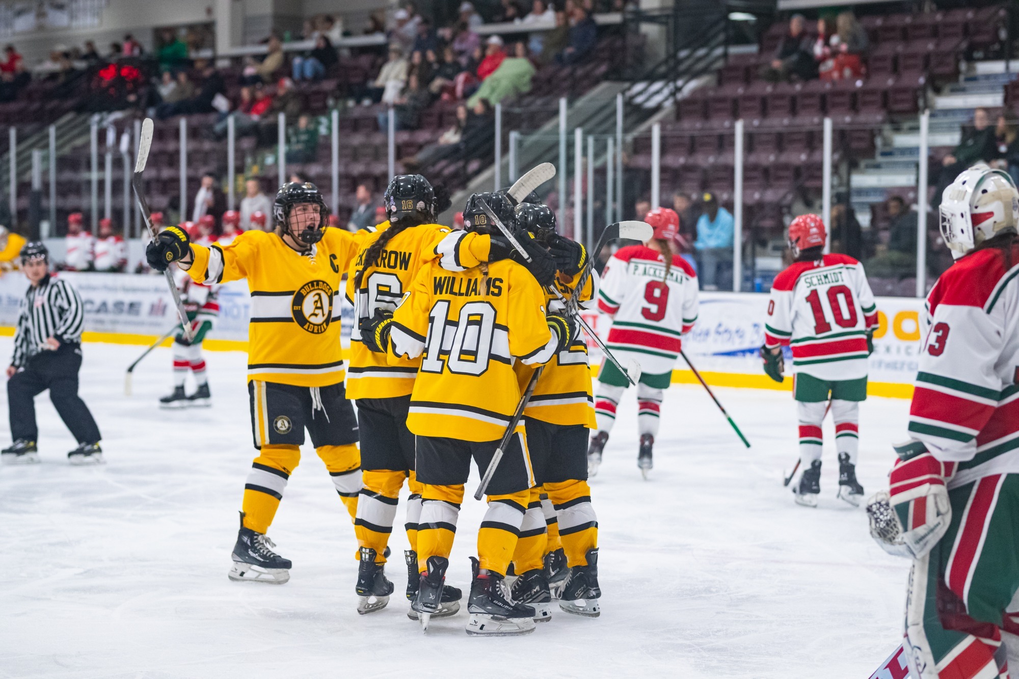 No. 4 WD1 Hockey Defeat MiamiOhio for CCWHA Series Sweep Adrian College