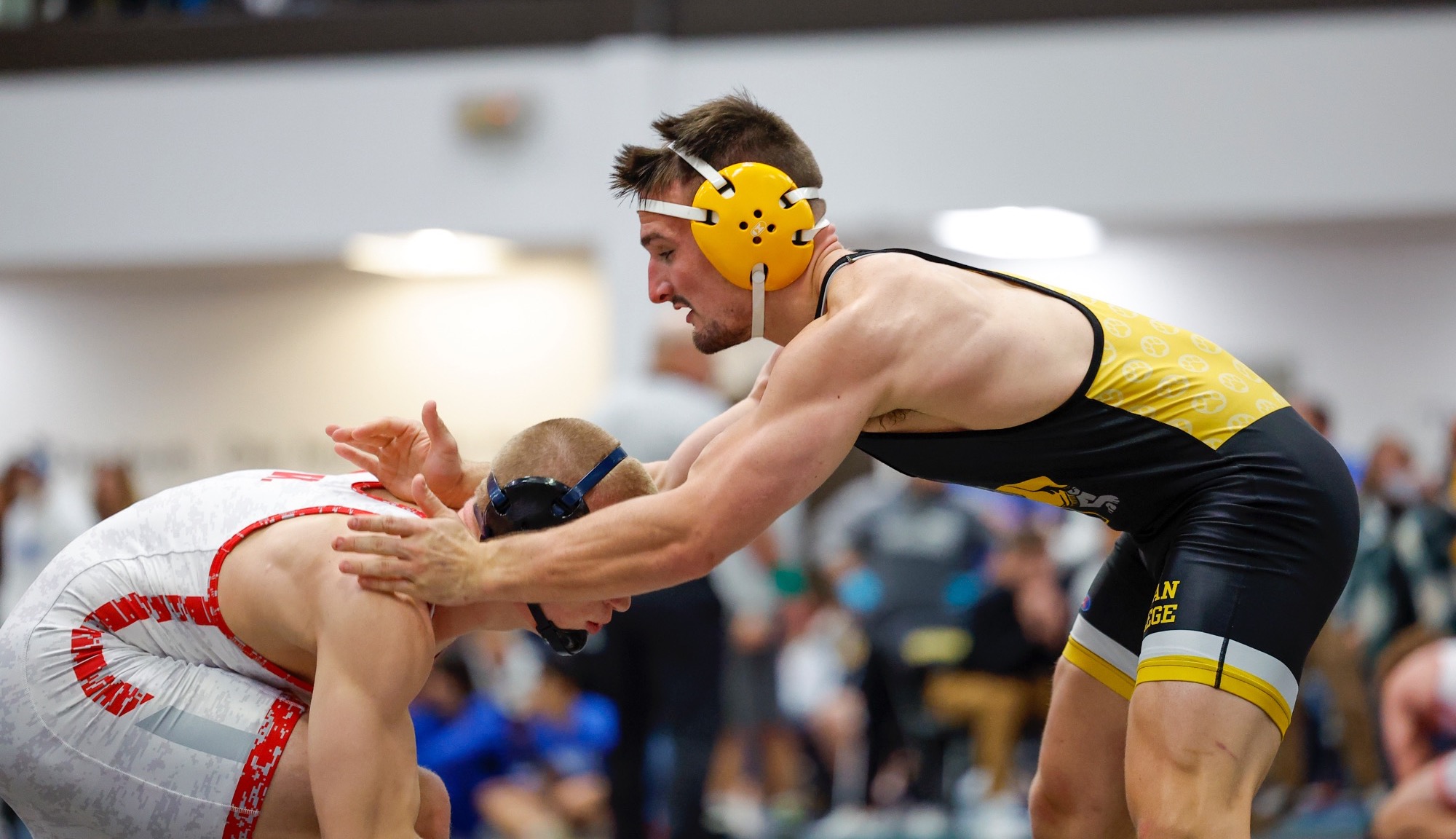 mwrestle recap