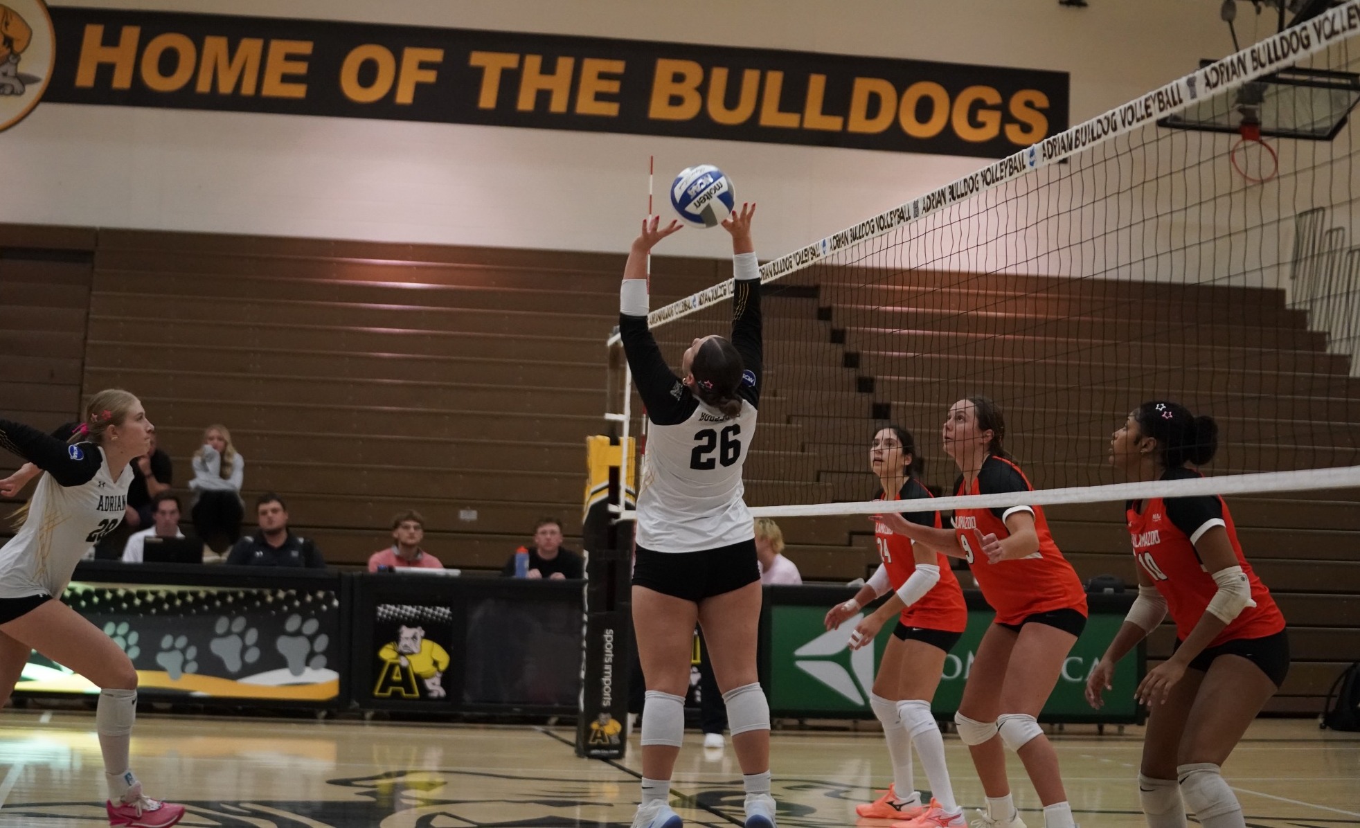 VB vs Albion 2026