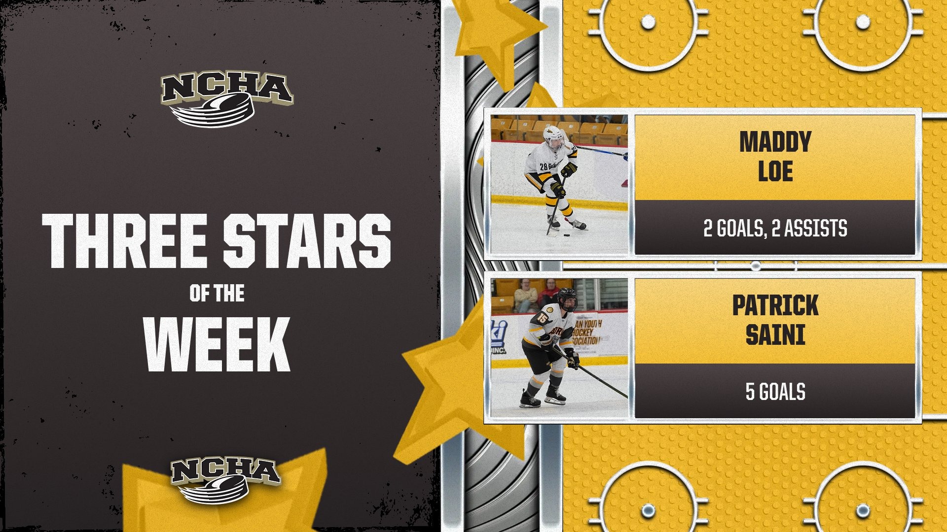 Loe Saini NCHA Stars