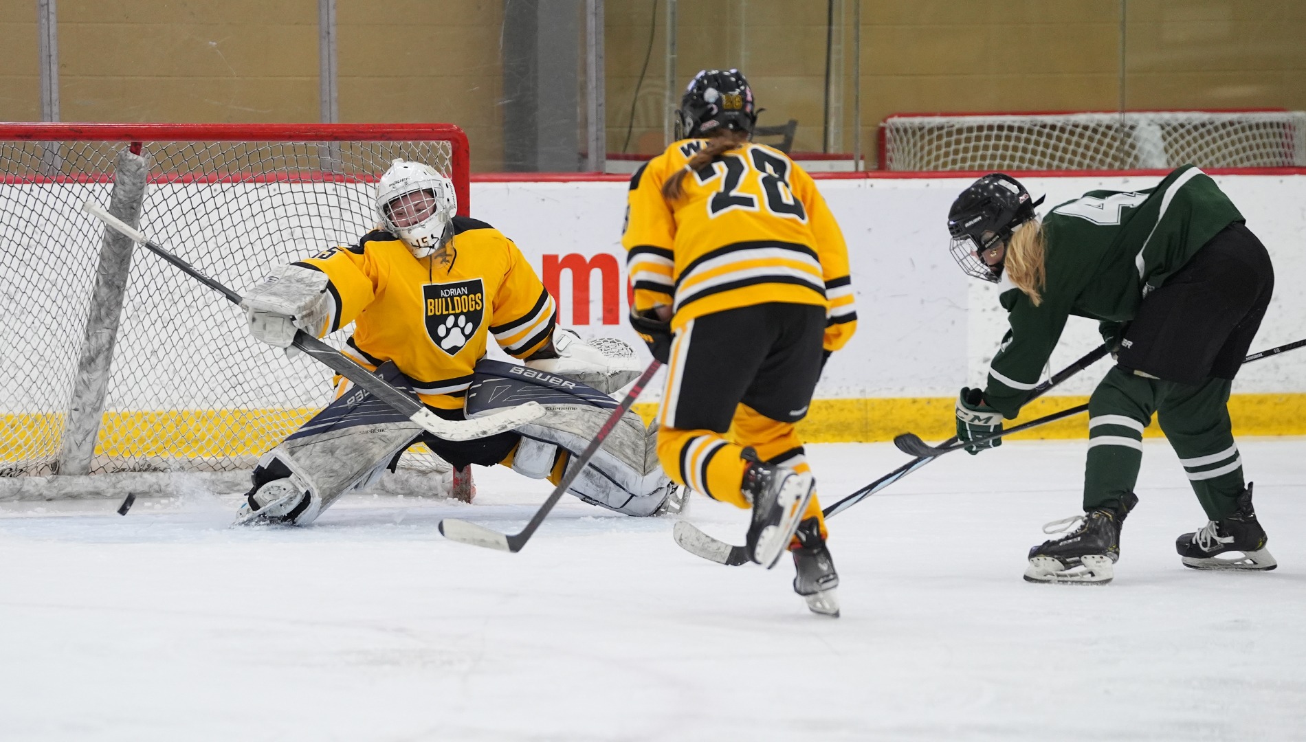 WD2 Recap at CCWHA Playoffs