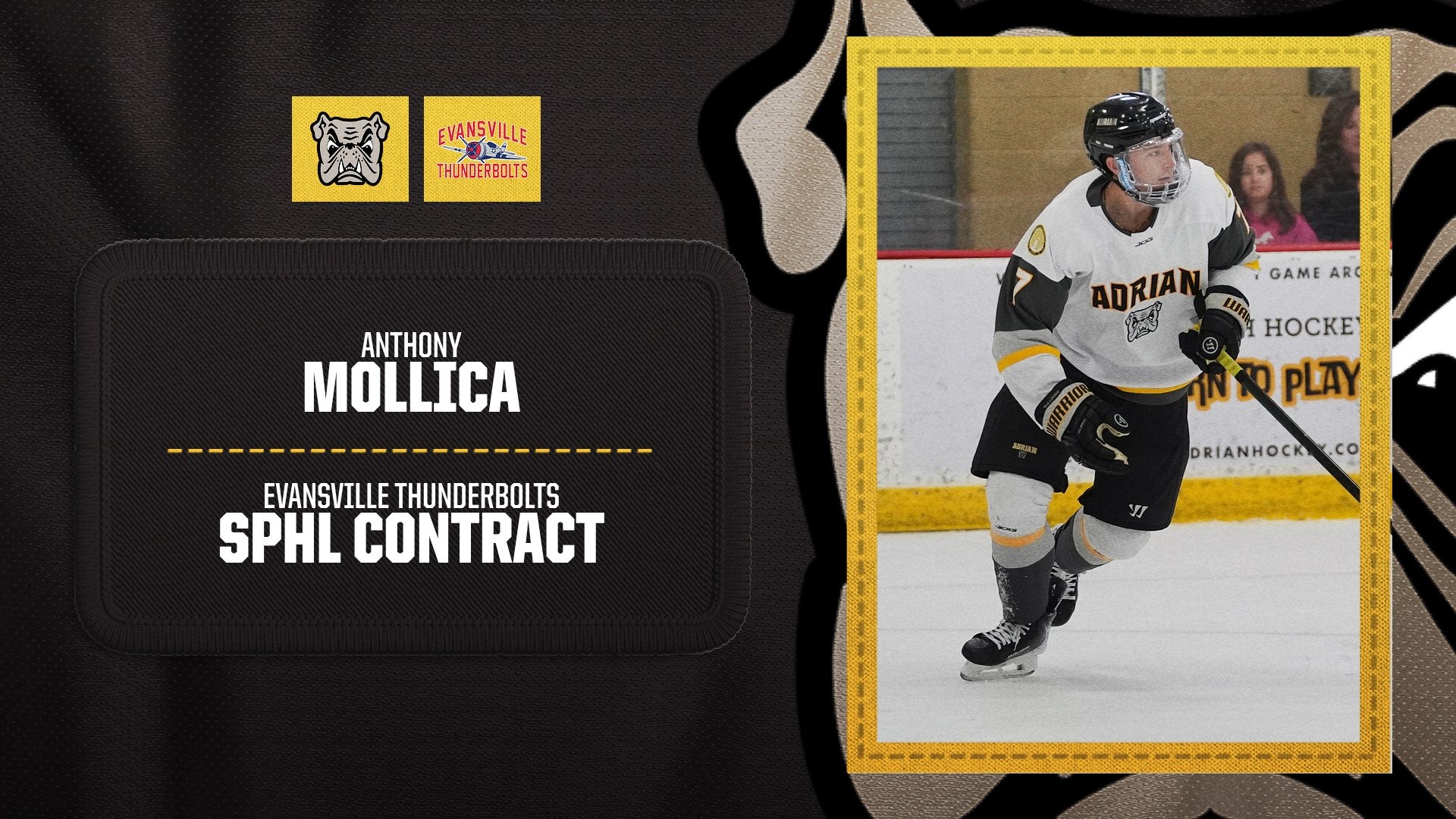 Anthony Mollica SPHL Contract