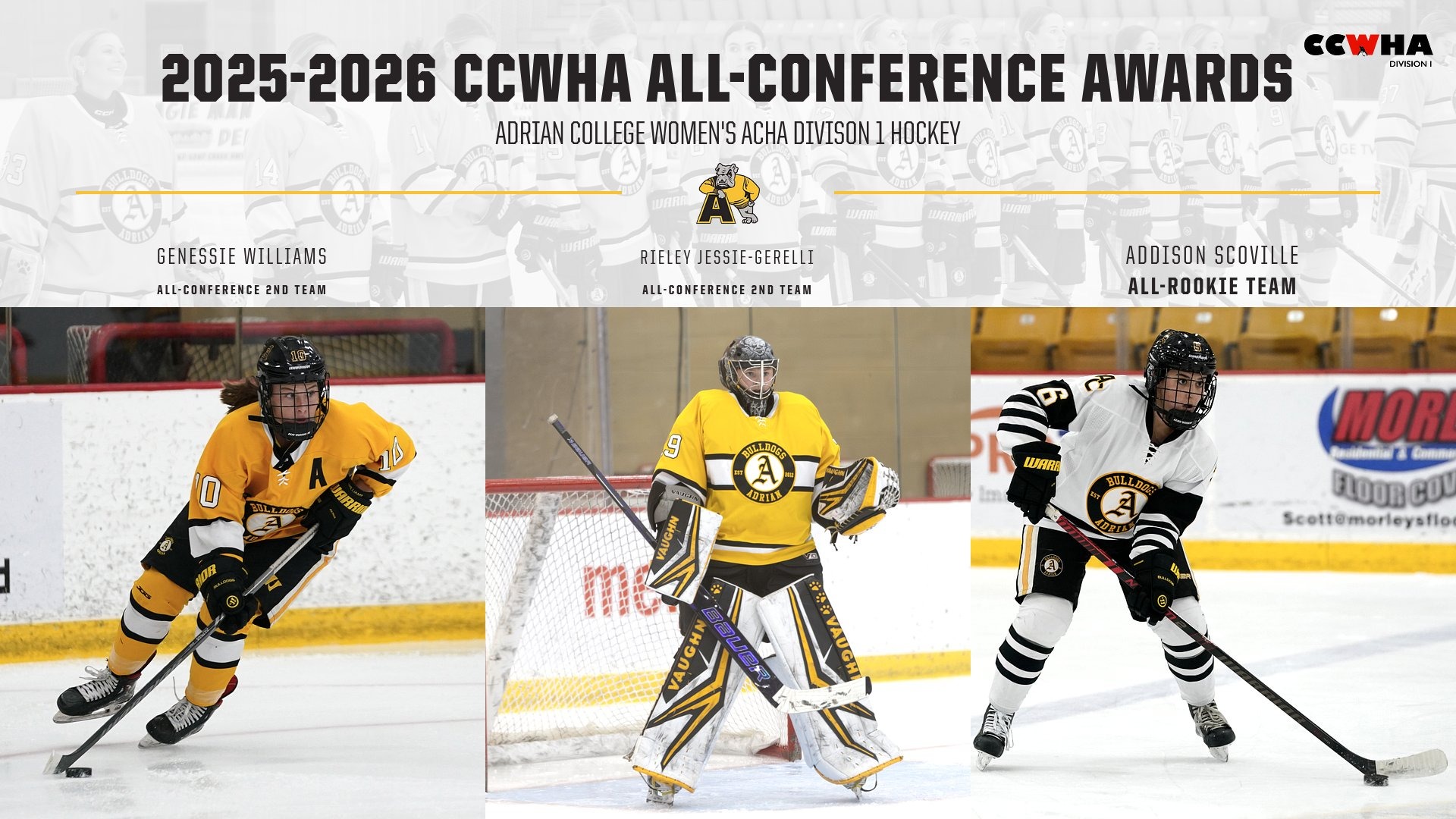 CCWHA D1 All-Conference Awards 