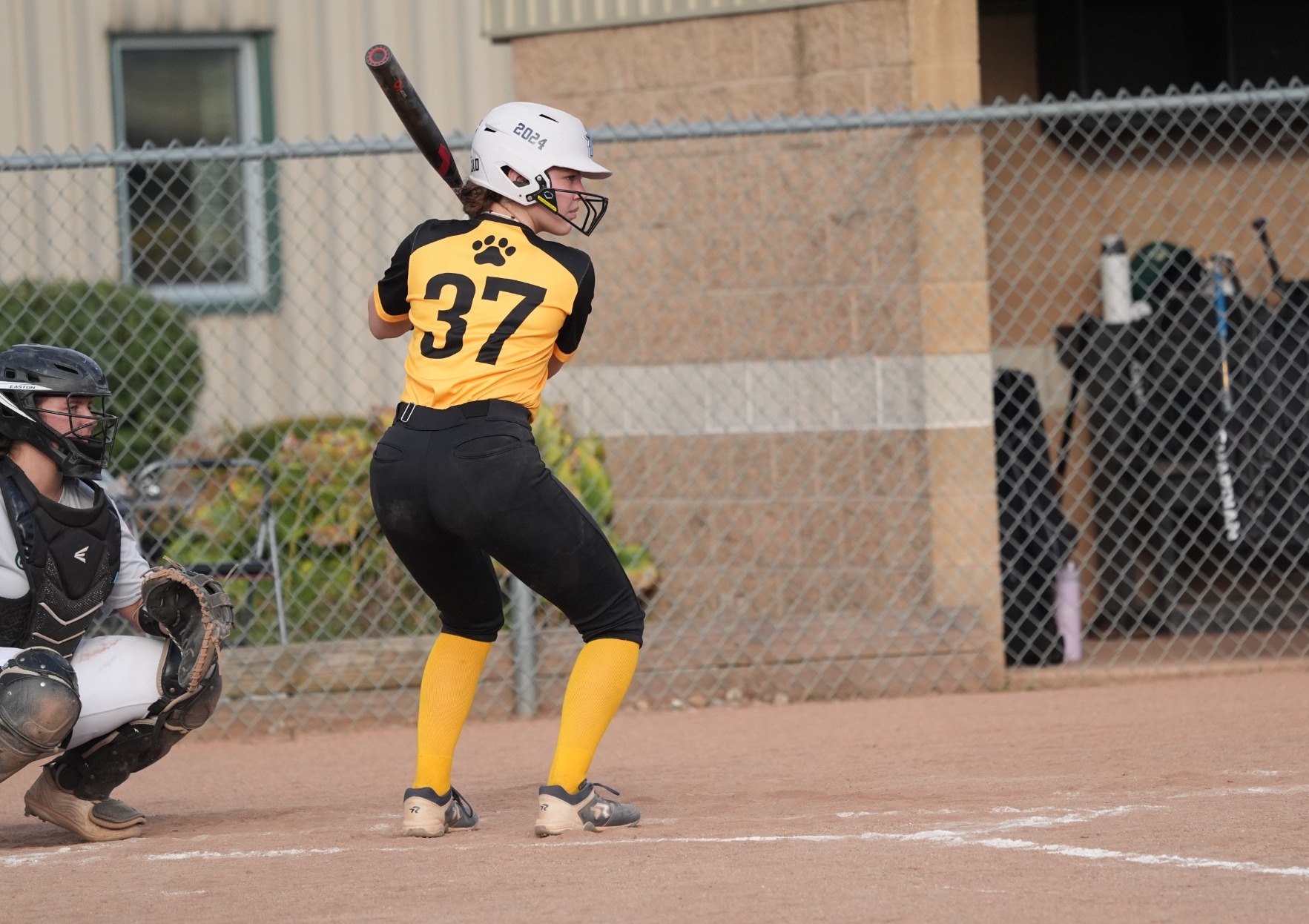 NCSA Softball Recap