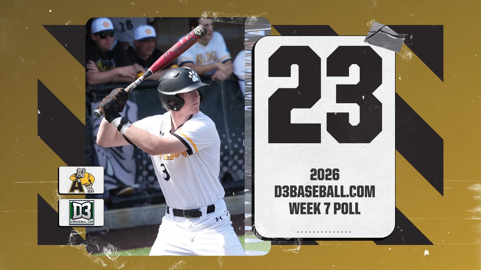 #23 D3baseba..com Poll