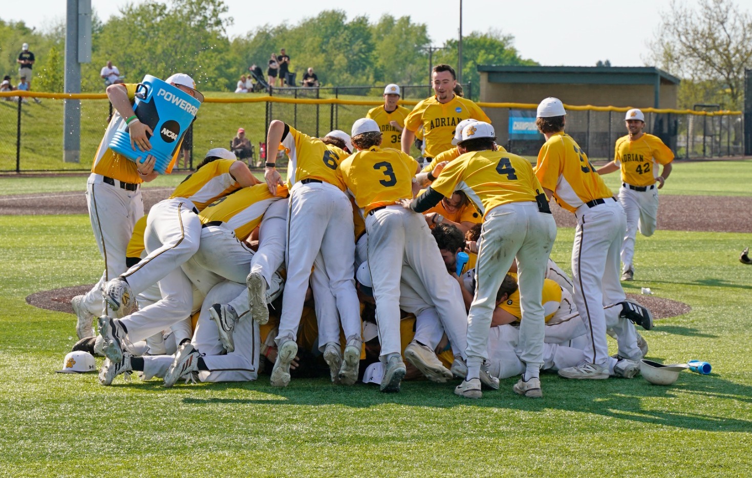Baseball 2026 Regional Dog Pile