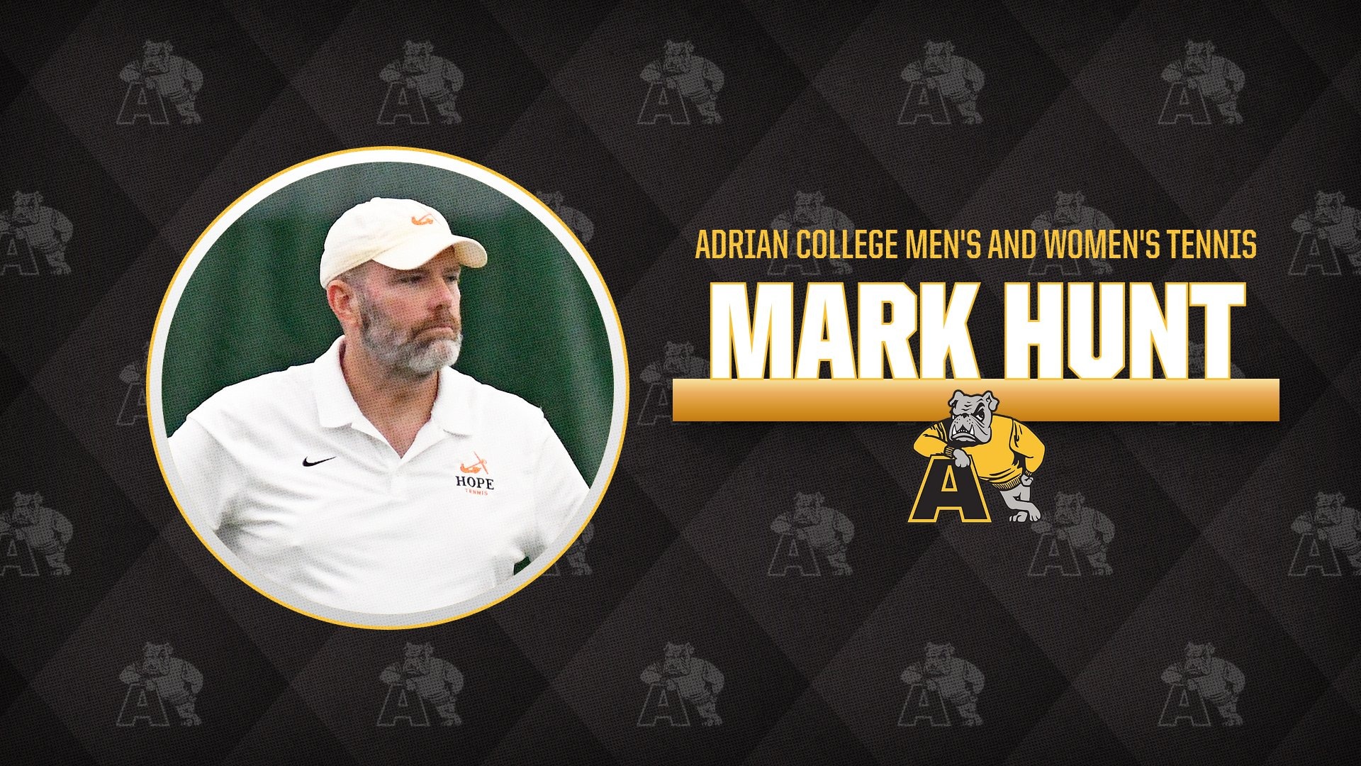 Mark Hunt Hire