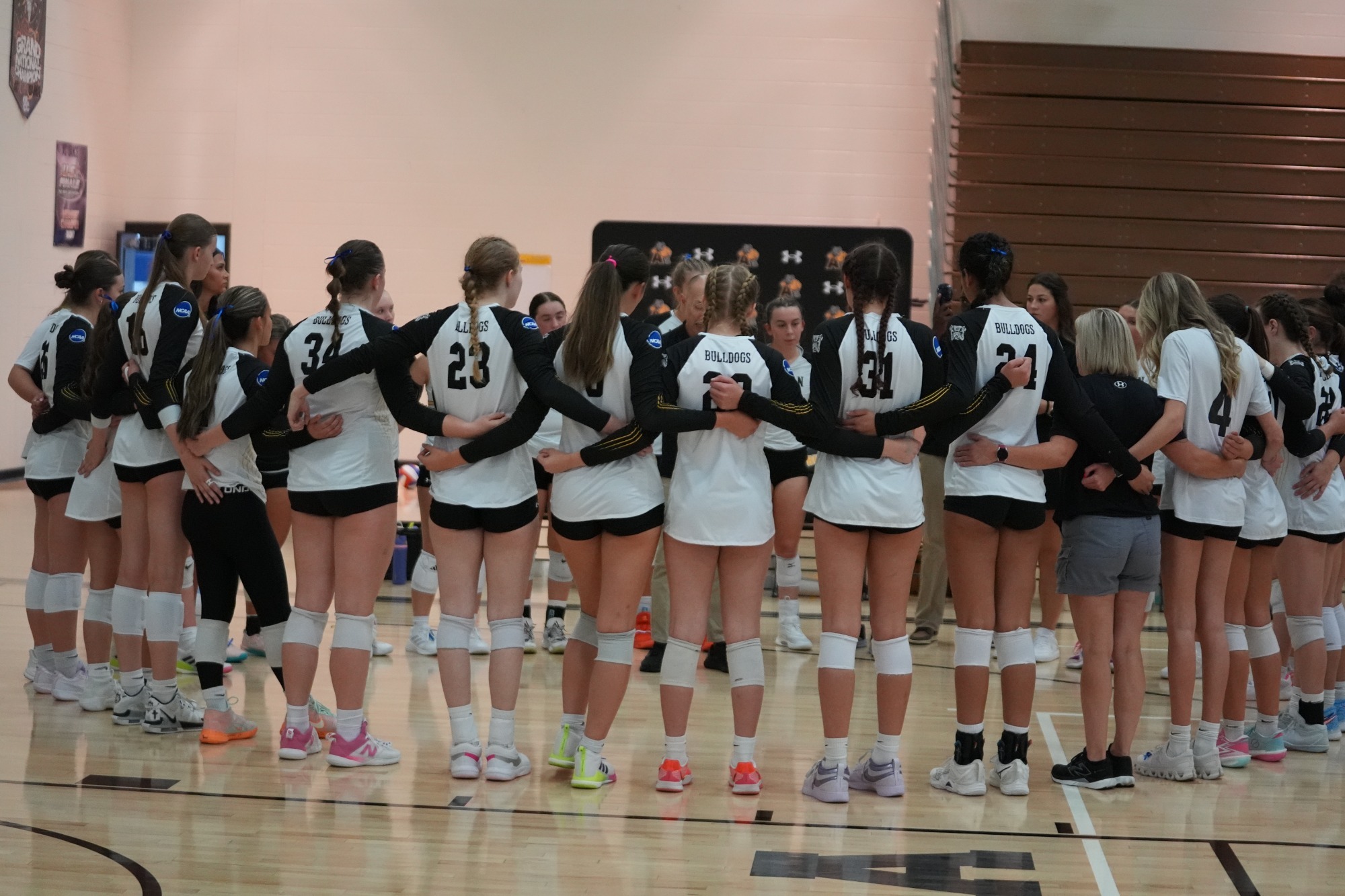 2026 WVBALL Season Preview