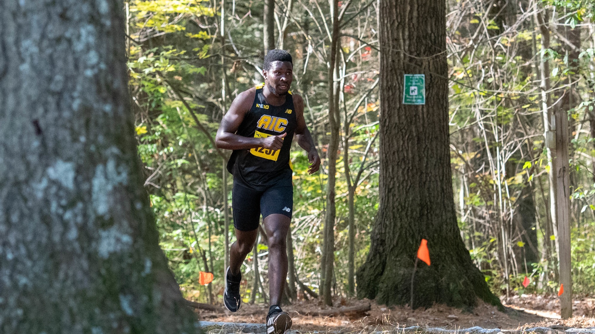 AIC Men's XC Runner at WSU 2025