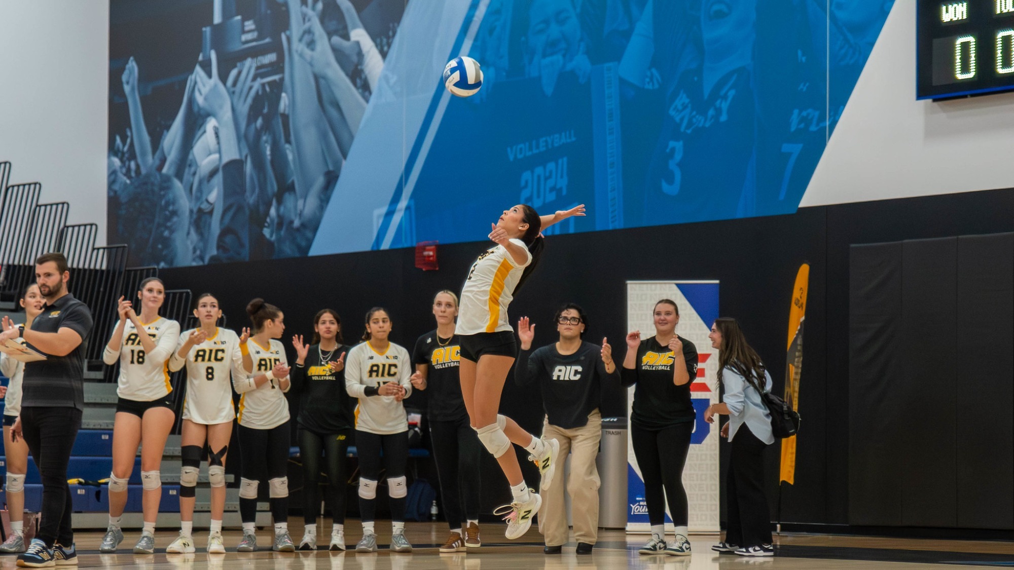 Janelys Perez Cortes serves against Adelphi in the NE10 Semifinal