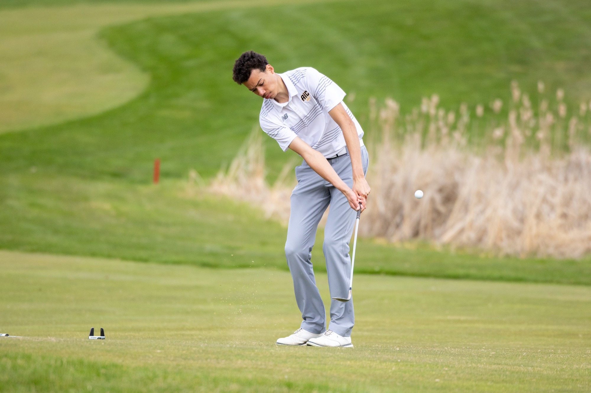 AIC Golf competes against Post