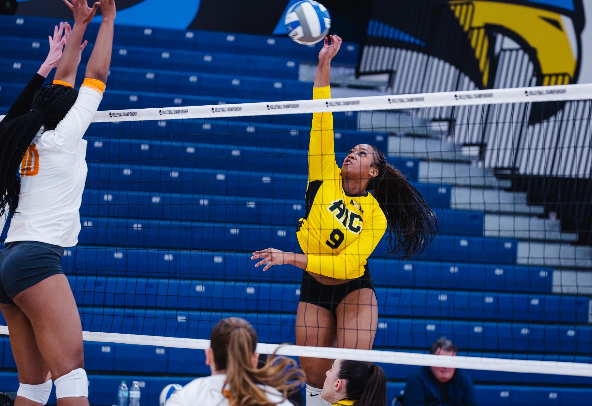 Carissa Michel hits at Bentley