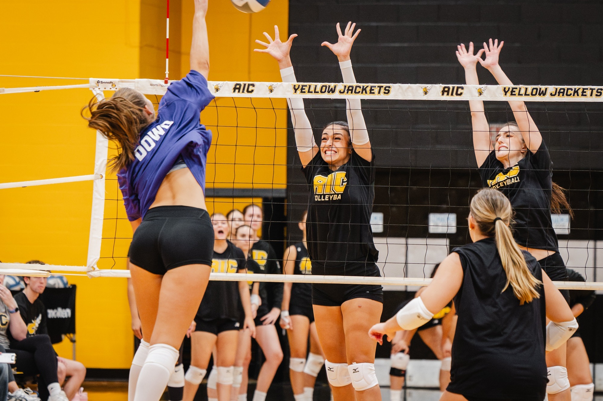 Block vs Stonehill