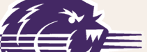 Opponent Logo