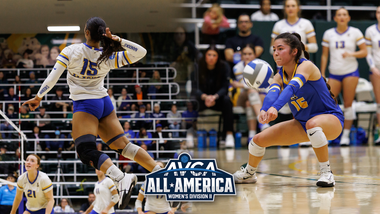 Mikala Henderson and Tessa Onaga named AVCA All-Americans (graphic)