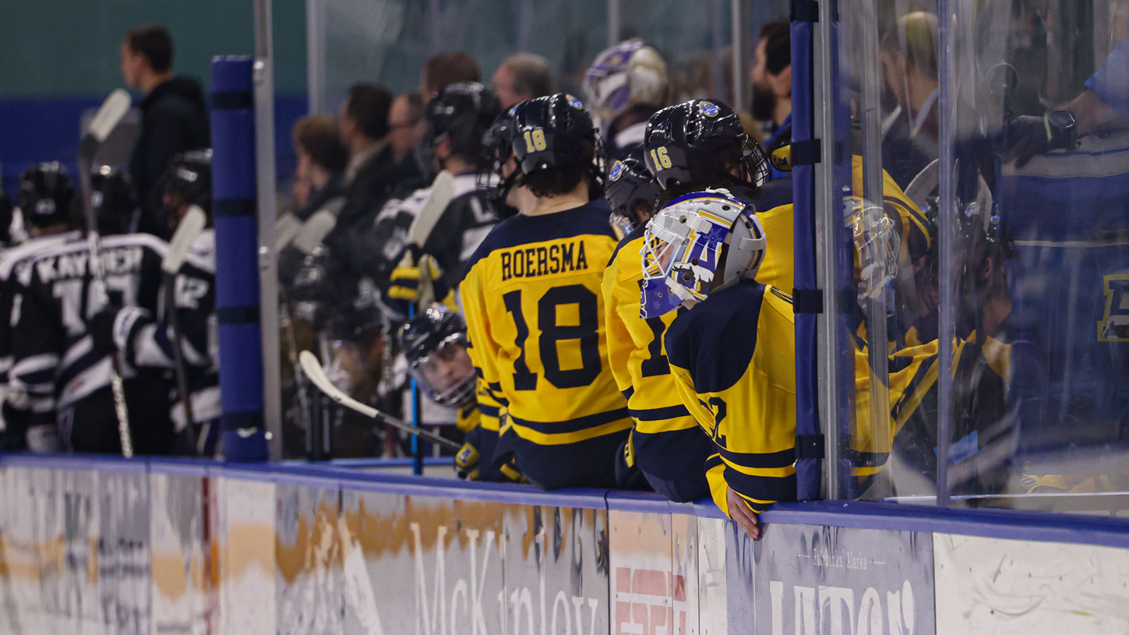 Calvin Vachon watches the GCU game from the bench as the Nanooks win 4-2