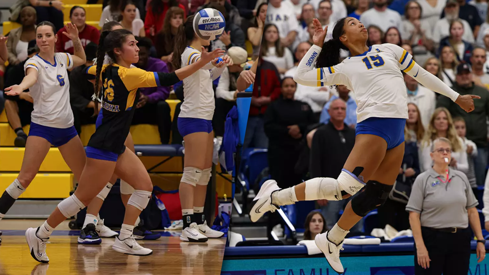 Tessa Onaga and Mikala Henderson duo graphic for All-West Region