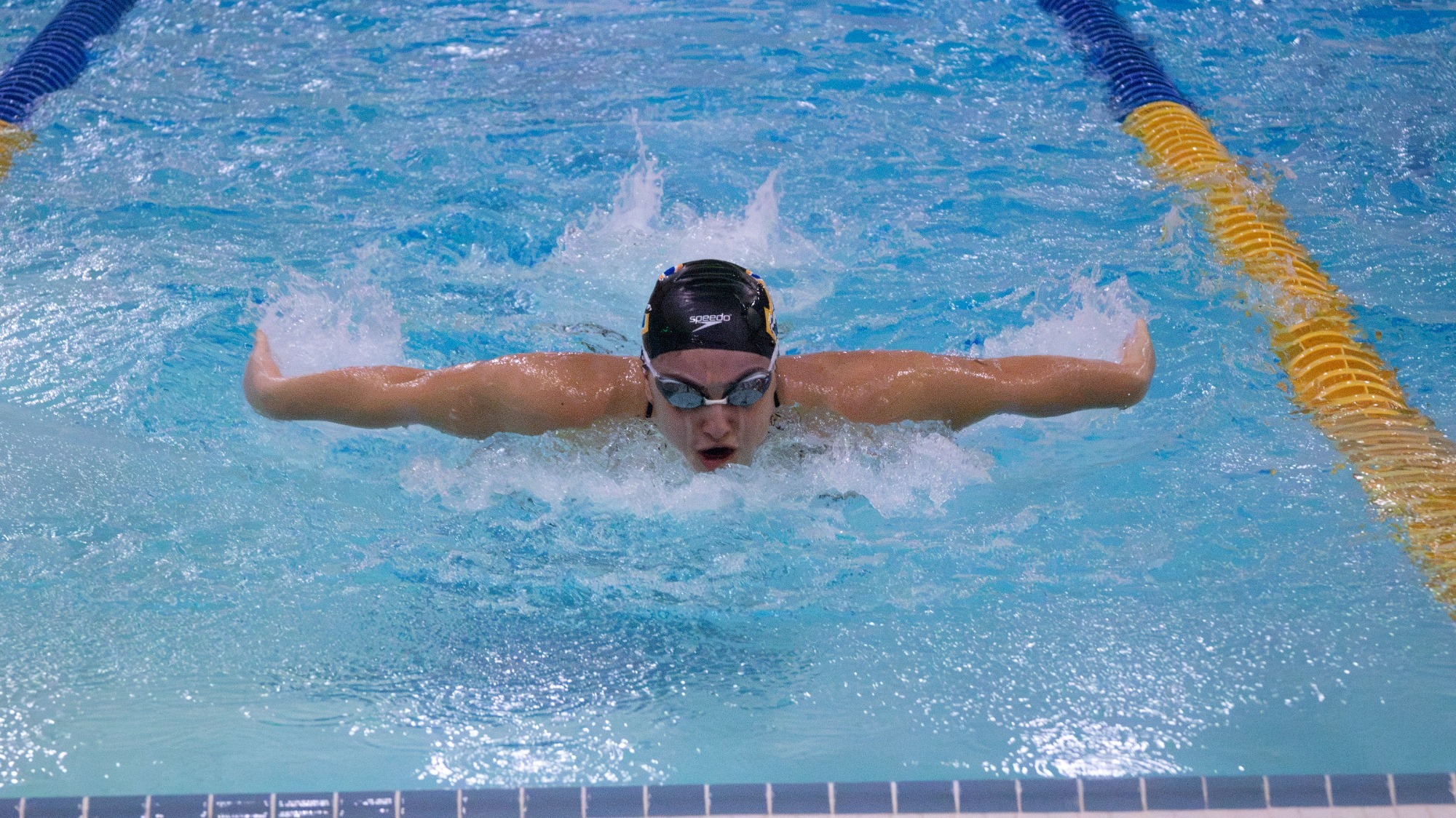 Giorgia Merlo swims in the butterfly at the 2026 Alumni Meet