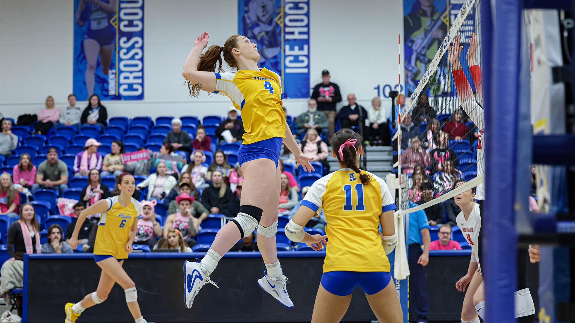 Peri Hoshock on the attack against NNU