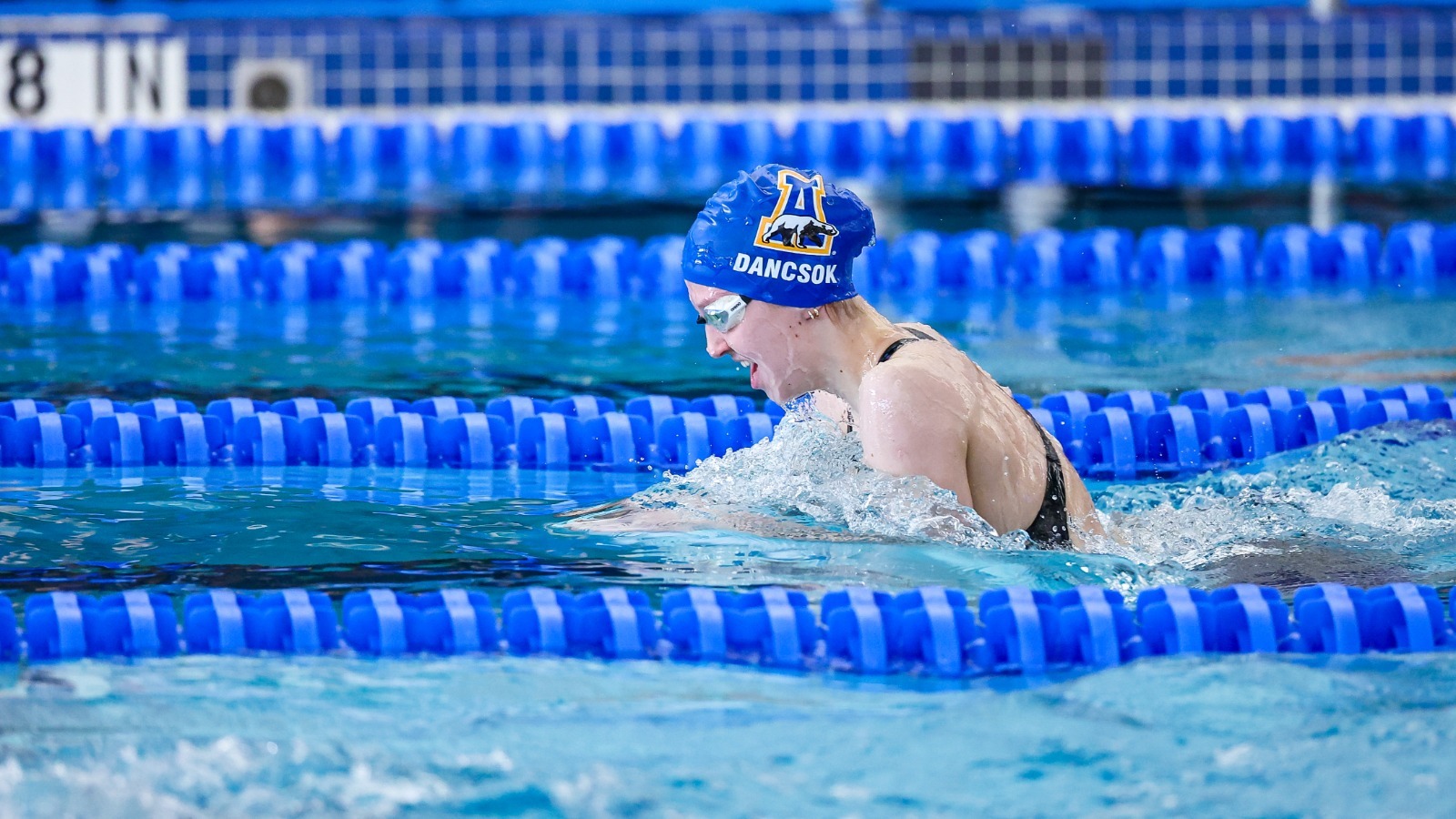 Dorka Dancsok swims at the 2026 NCAA Championships