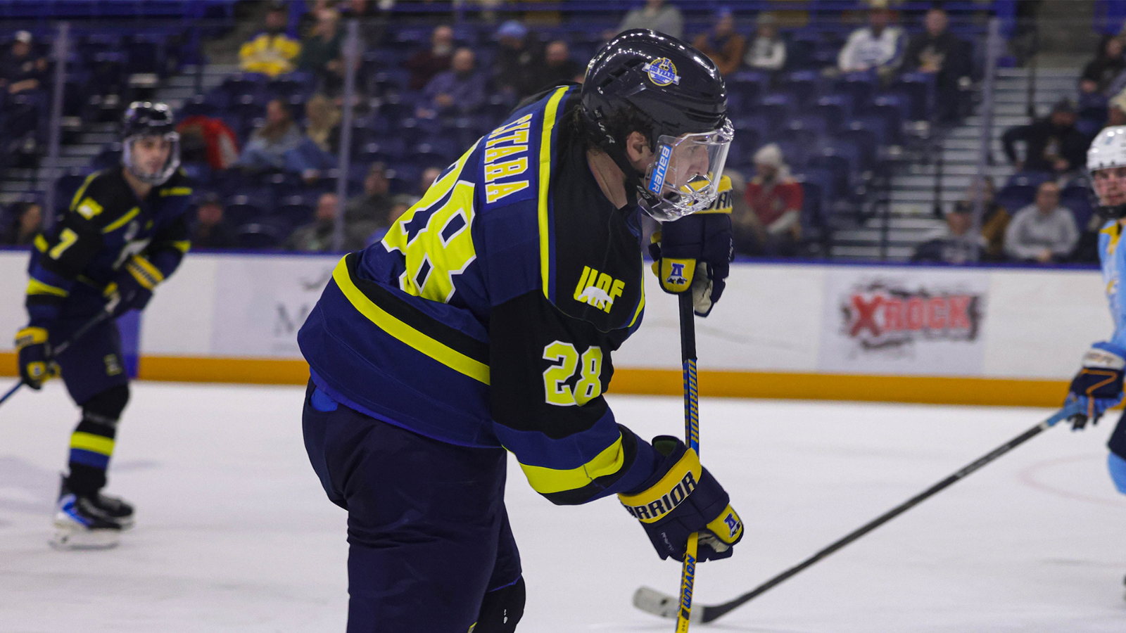 Michael Citara puts a shot on net against LIU