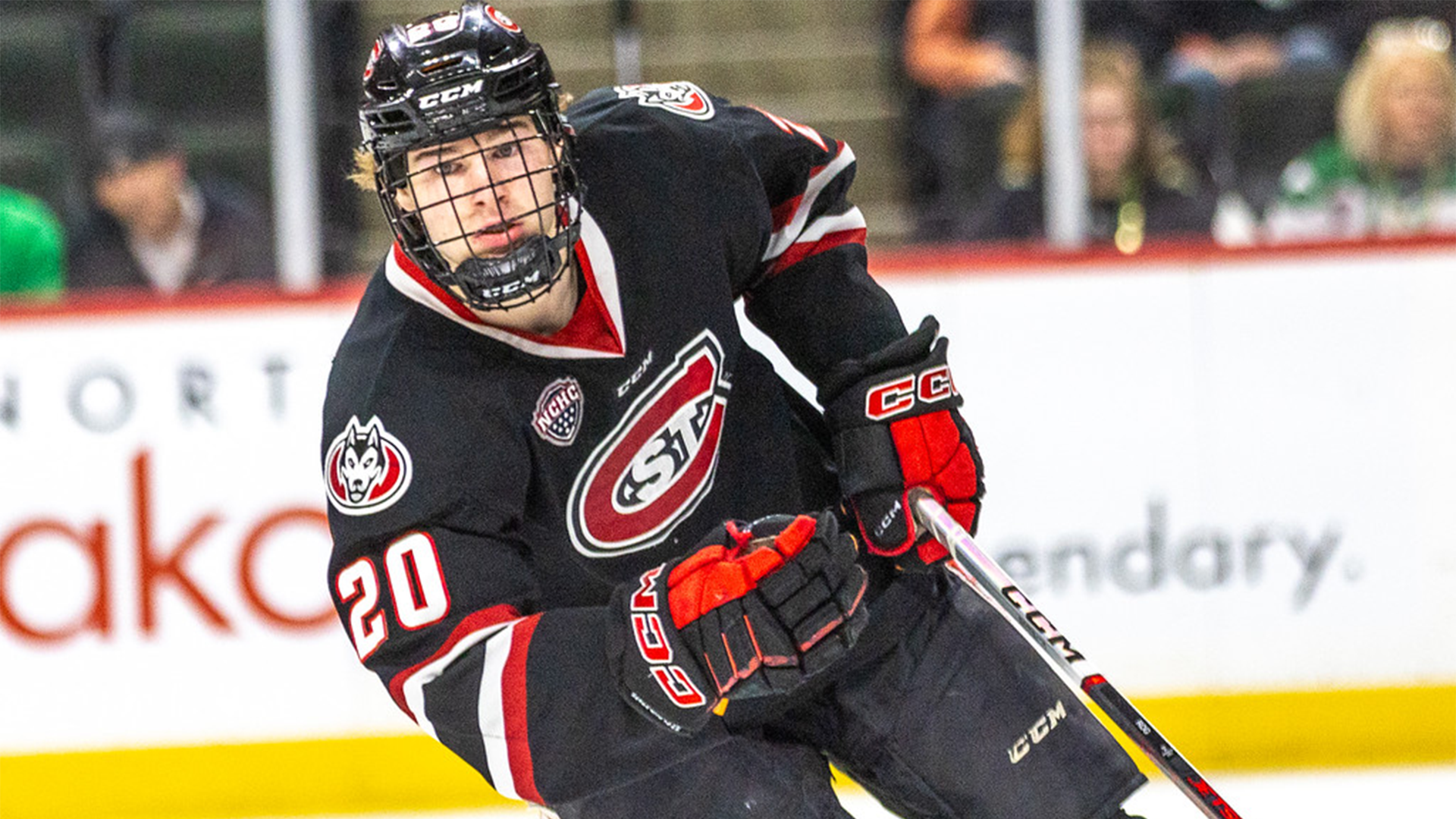 Jack Rogers, SCSU, Signing Release, 2026-27