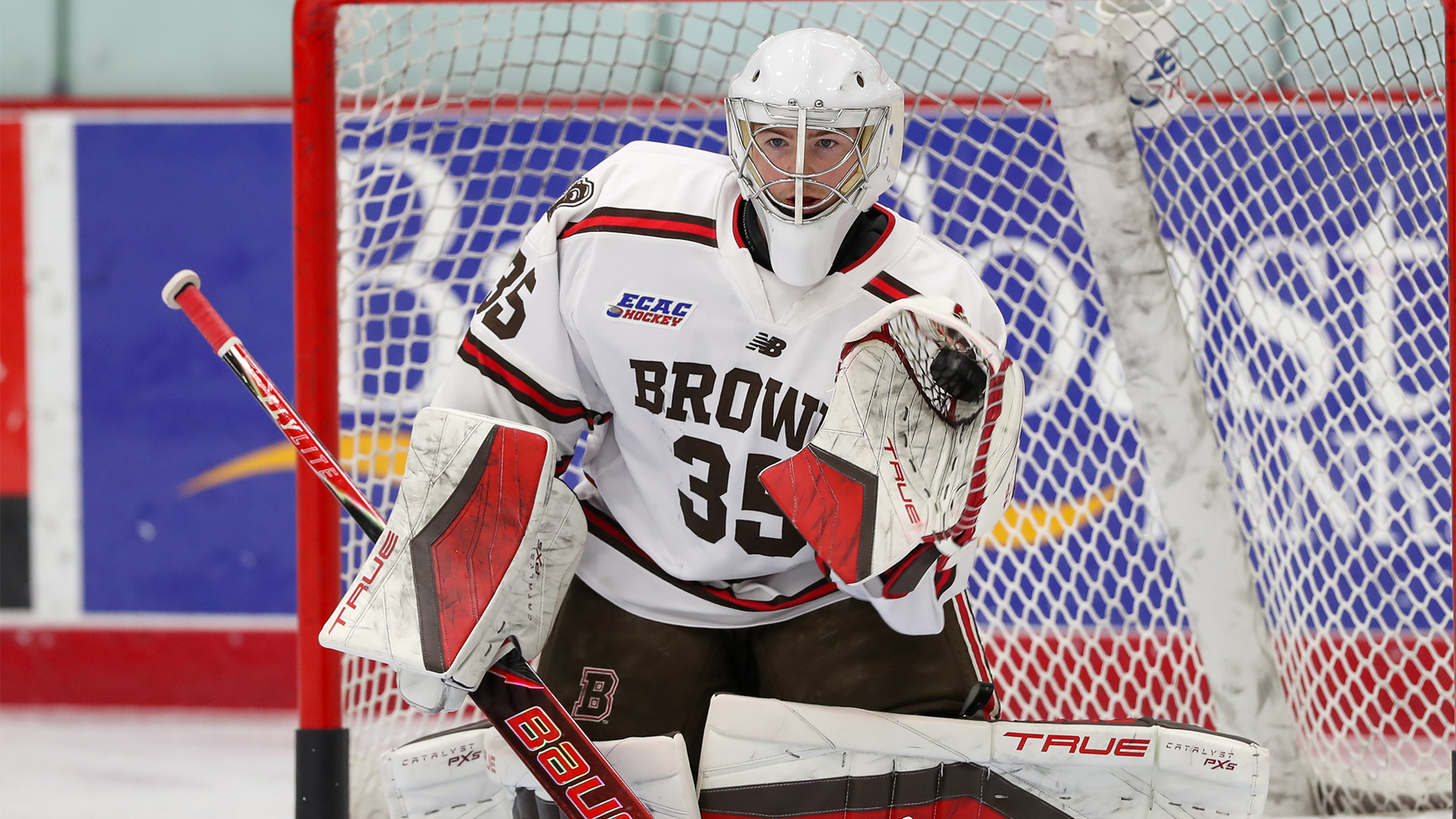 Tyler Shea, Transfer, Brown, 2026-27