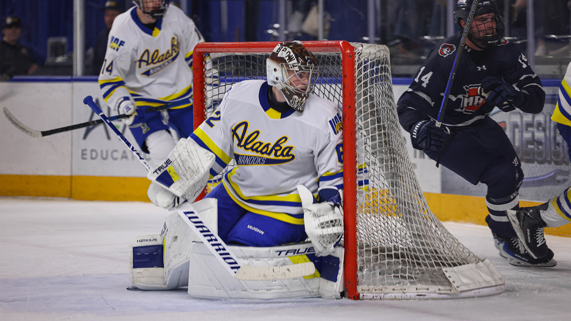 Tyler Shea scopes out behind the net during exhibition game vs. UMary