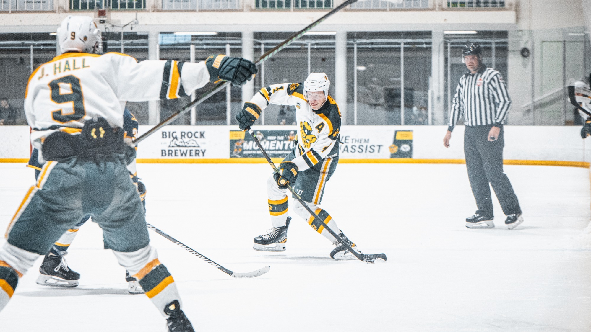 Blake Gustafson and Justin Hall