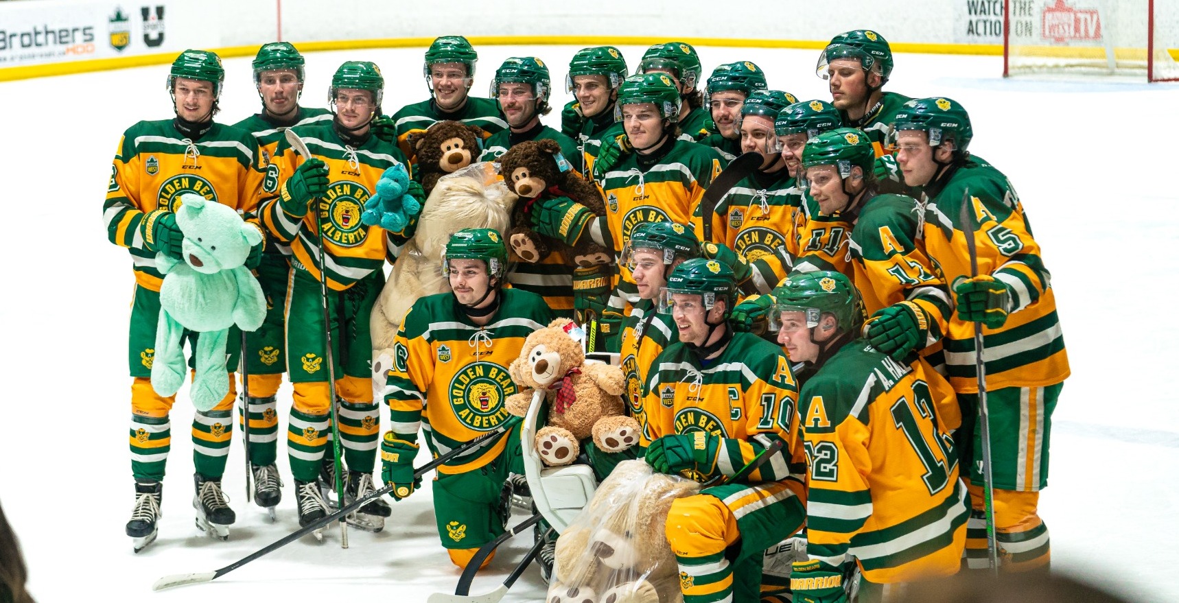 Teddy Bear Toss