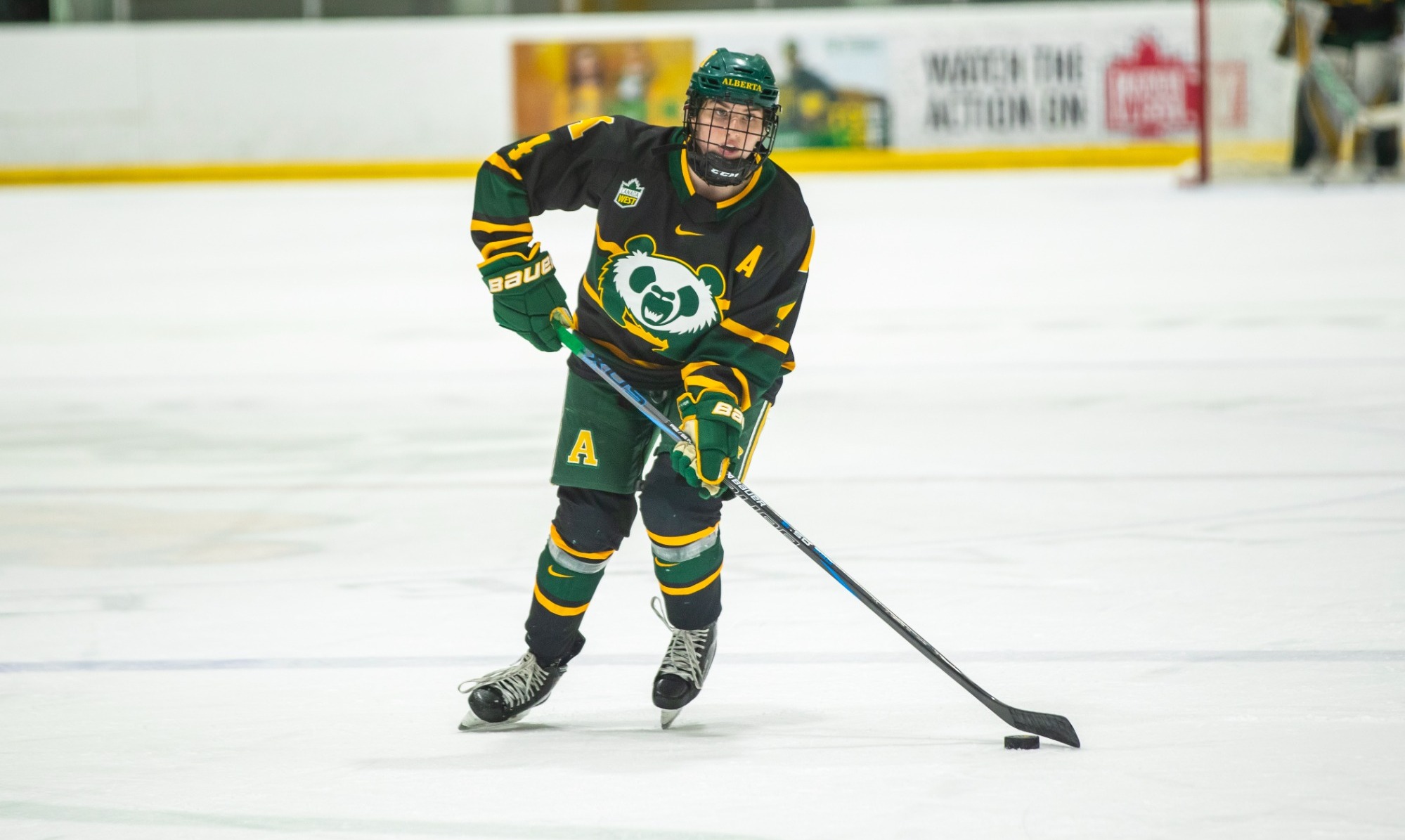 Taylor Anker