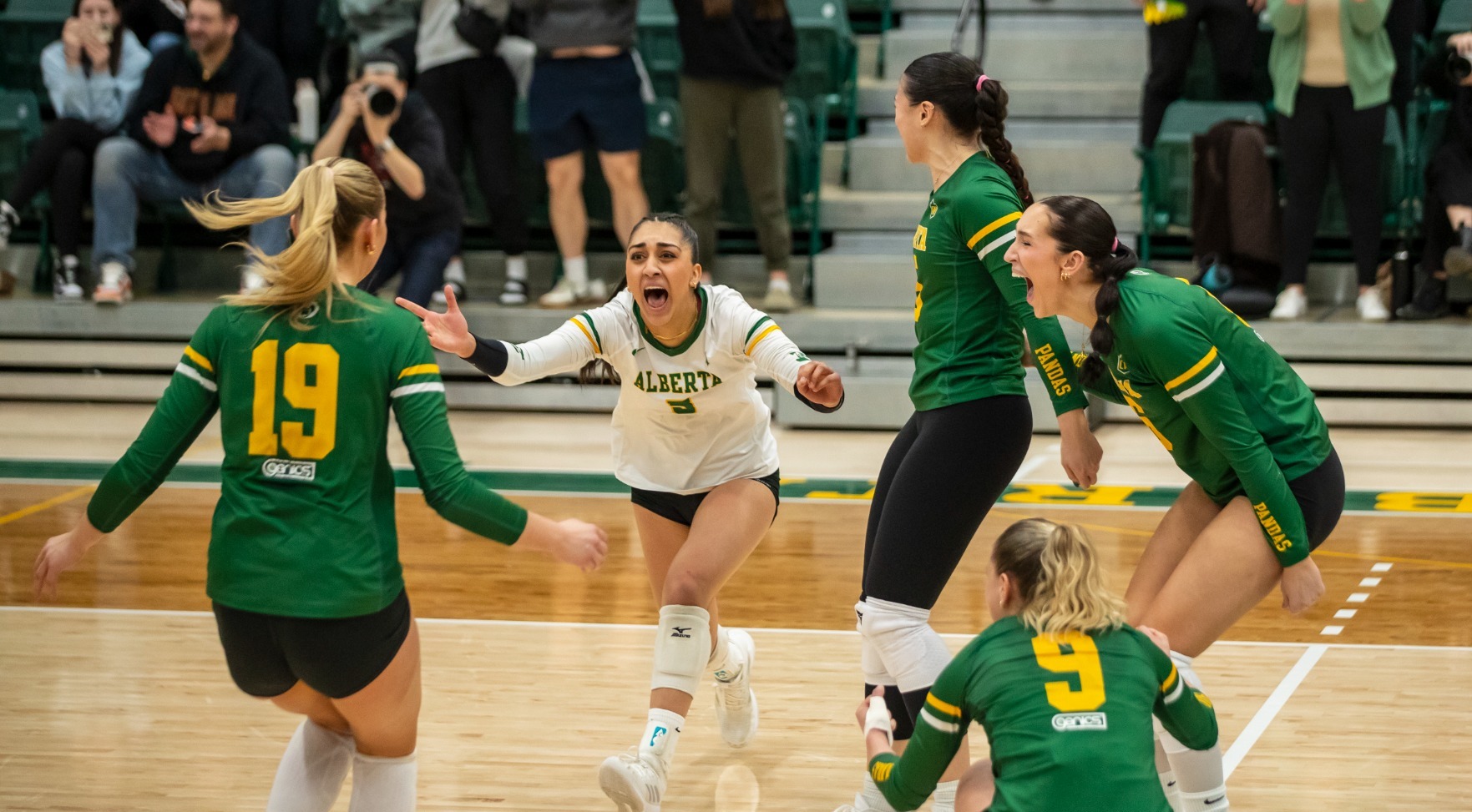 Pandas VB