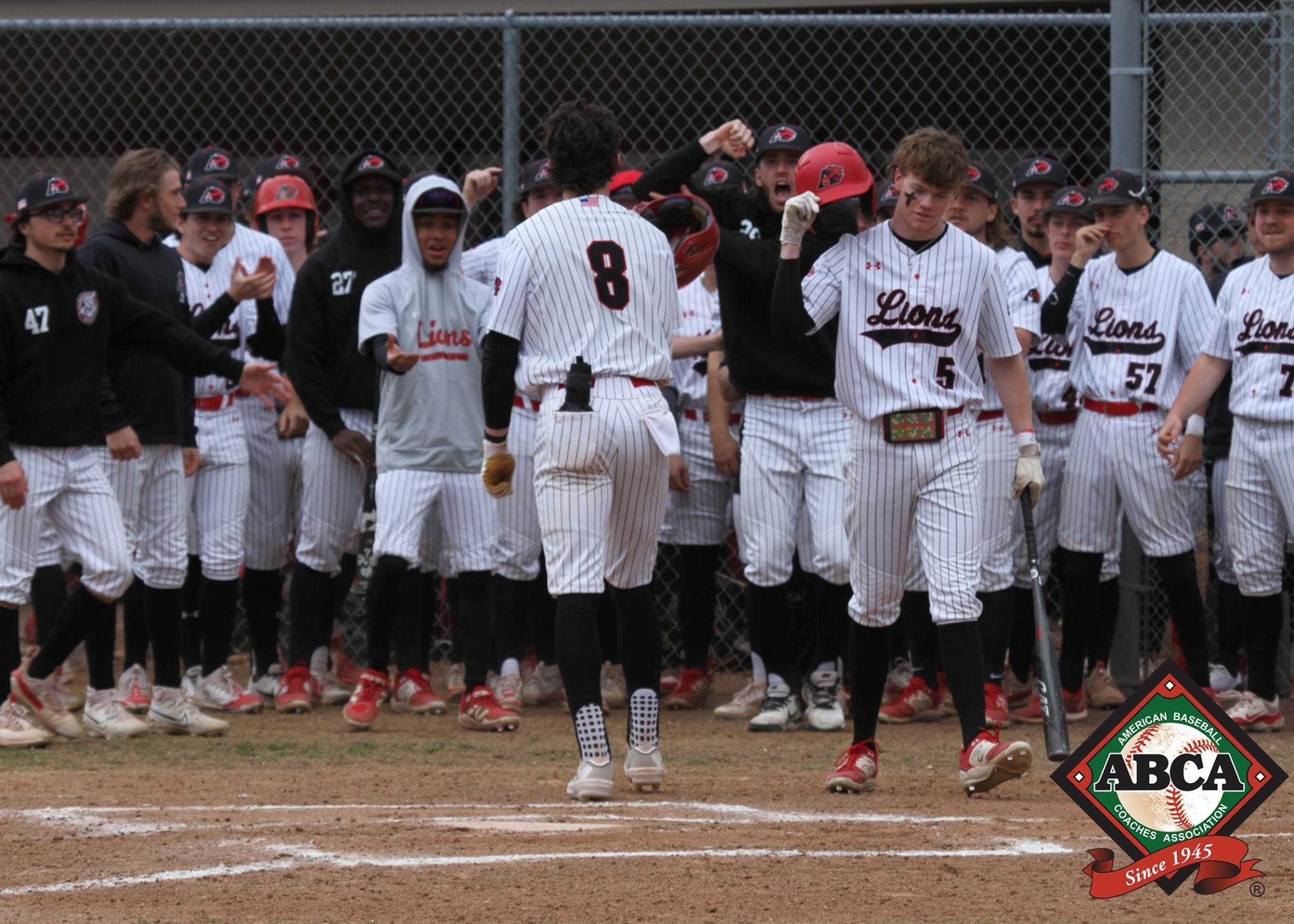 Baseball Academic Award 