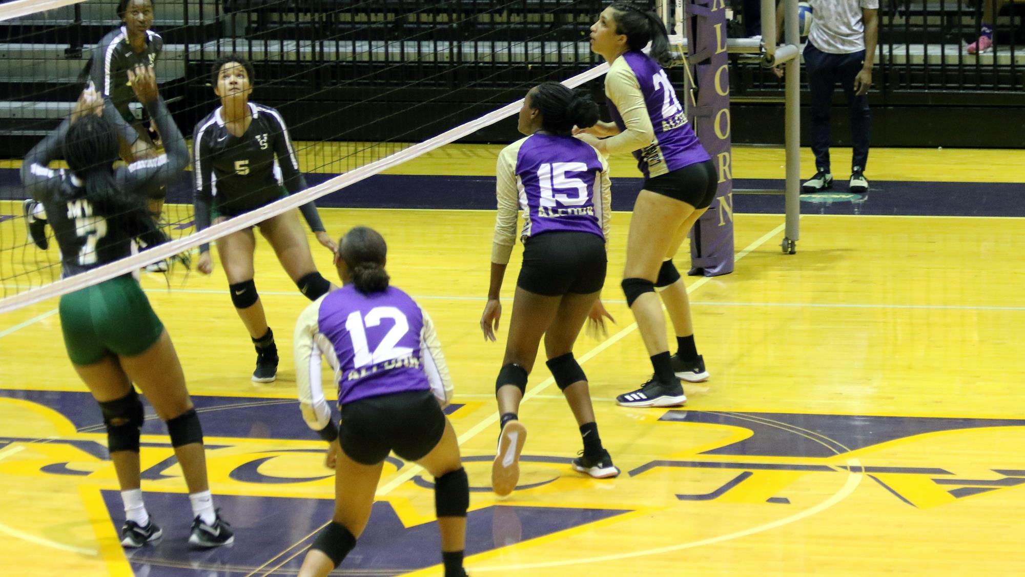 Jeda Curry Women's Volleyball Alcorn State University Athletics