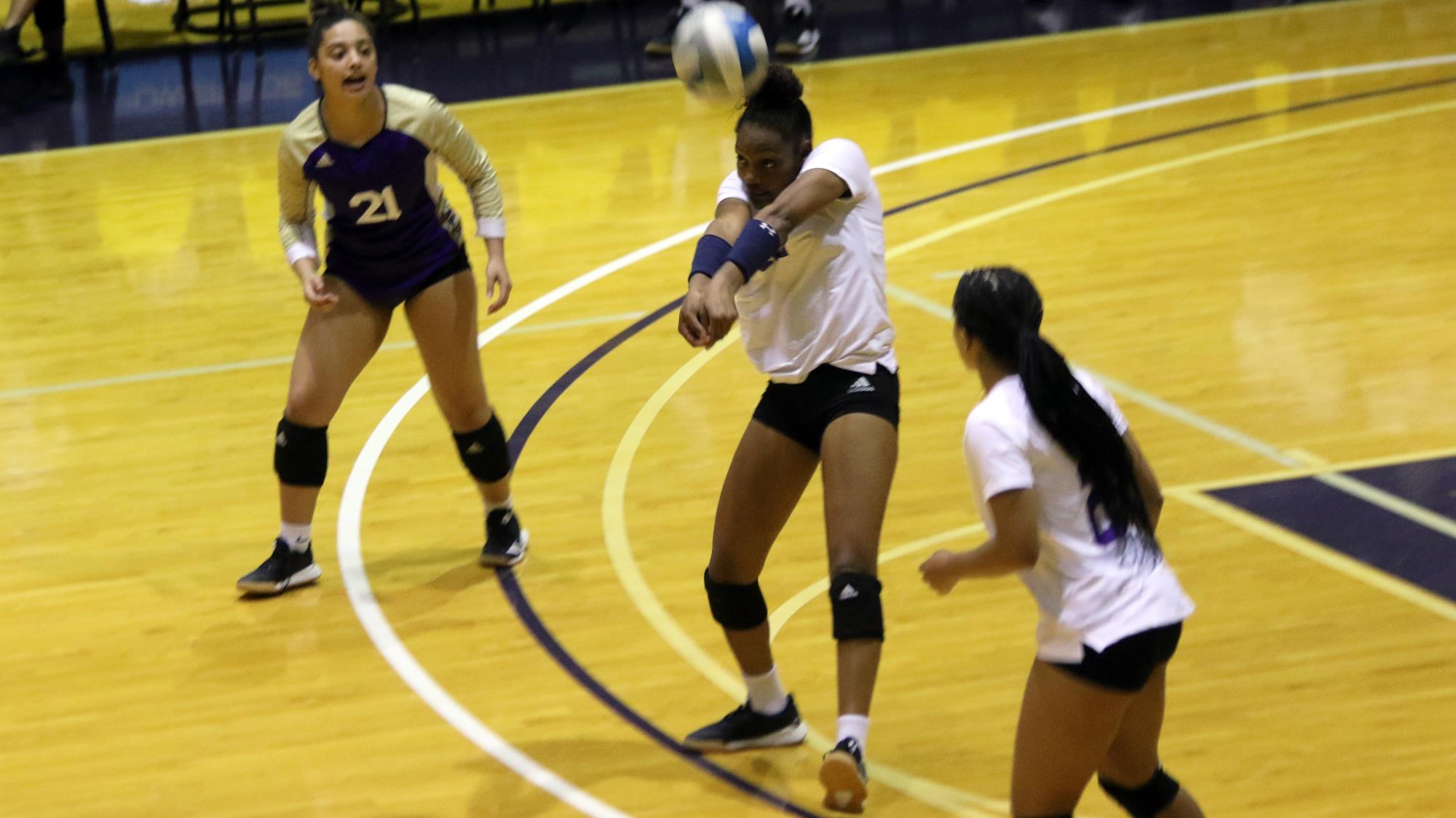 Jeda Curry Women's Volleyball Alcorn State University Athletics