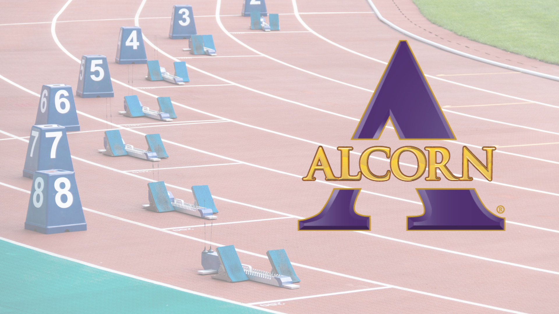 ALCN WOMENS TF
