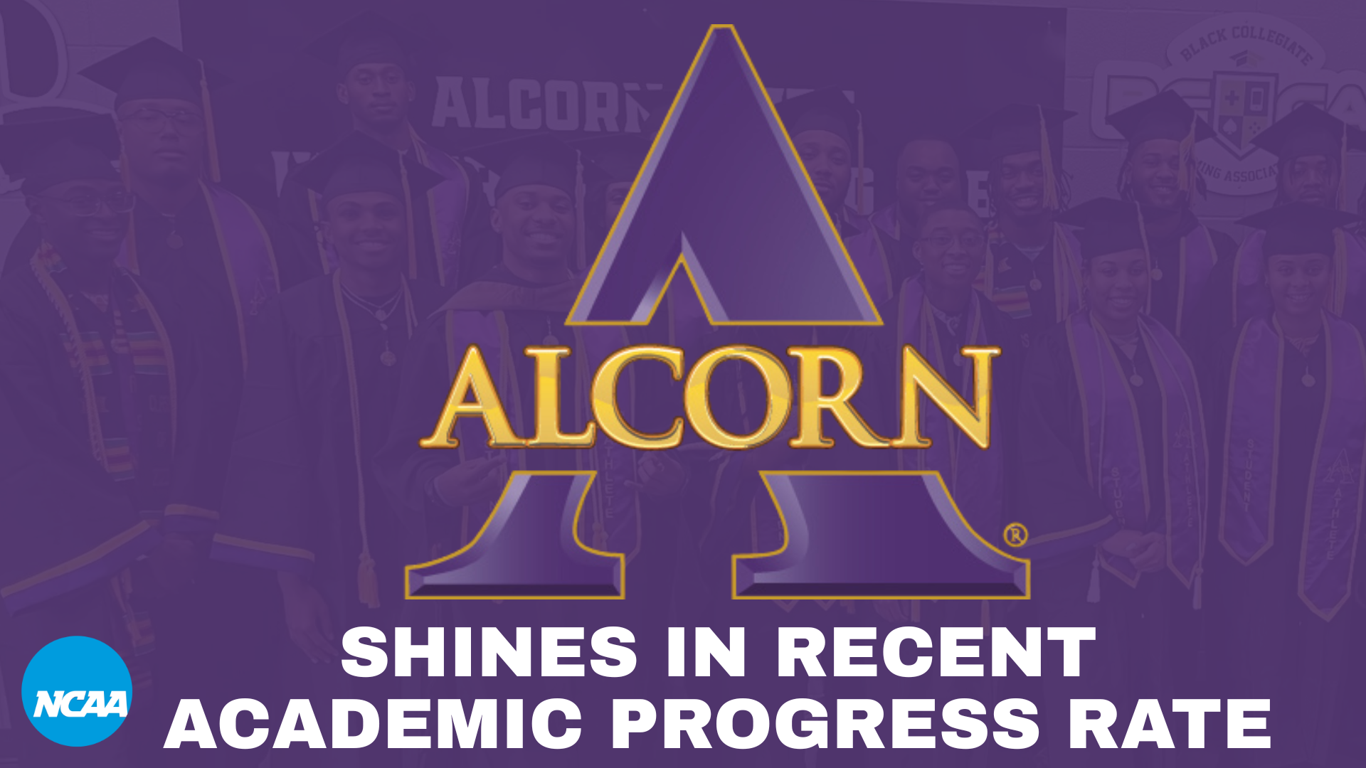 ALCN SHINES IN APR