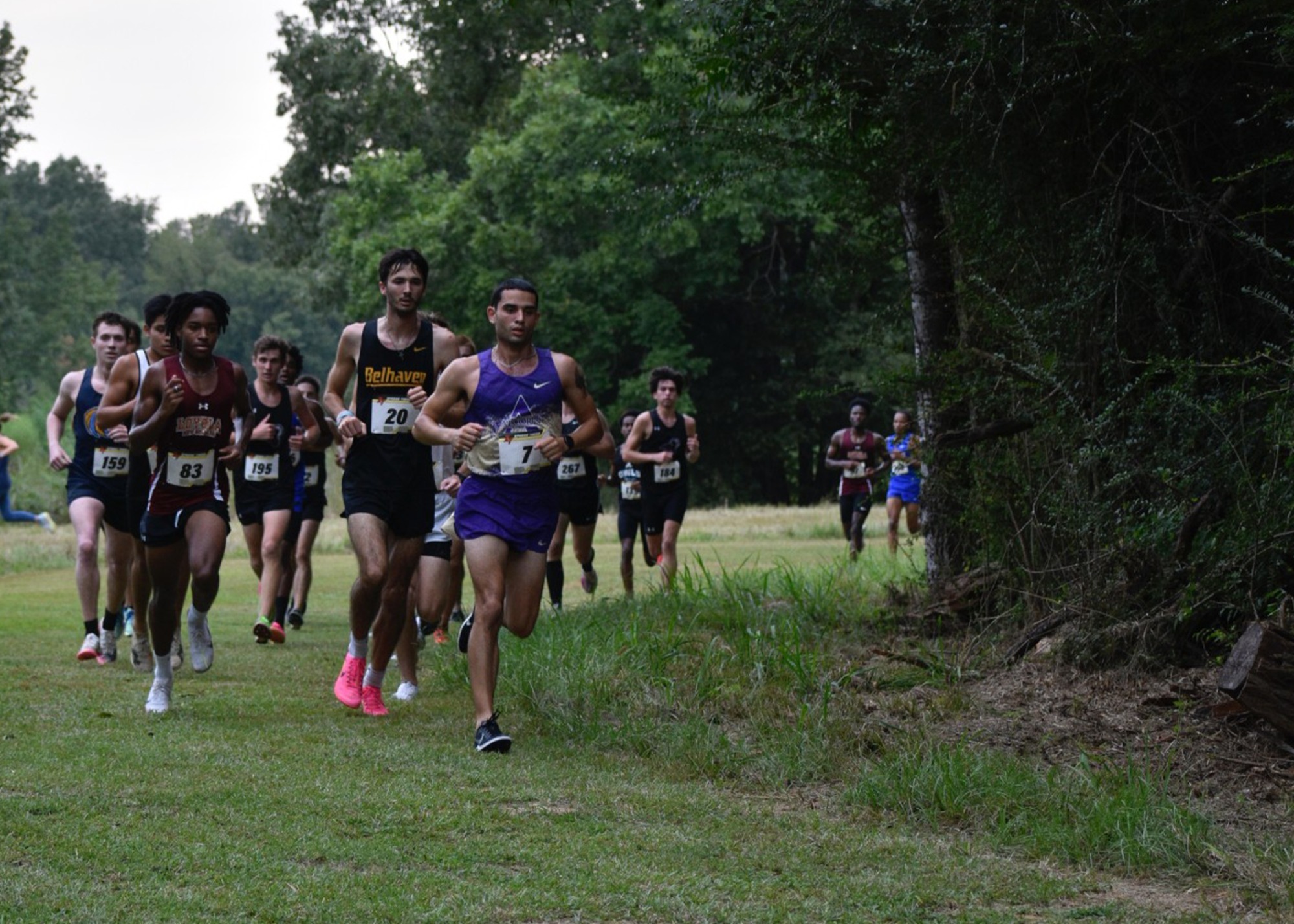 xc