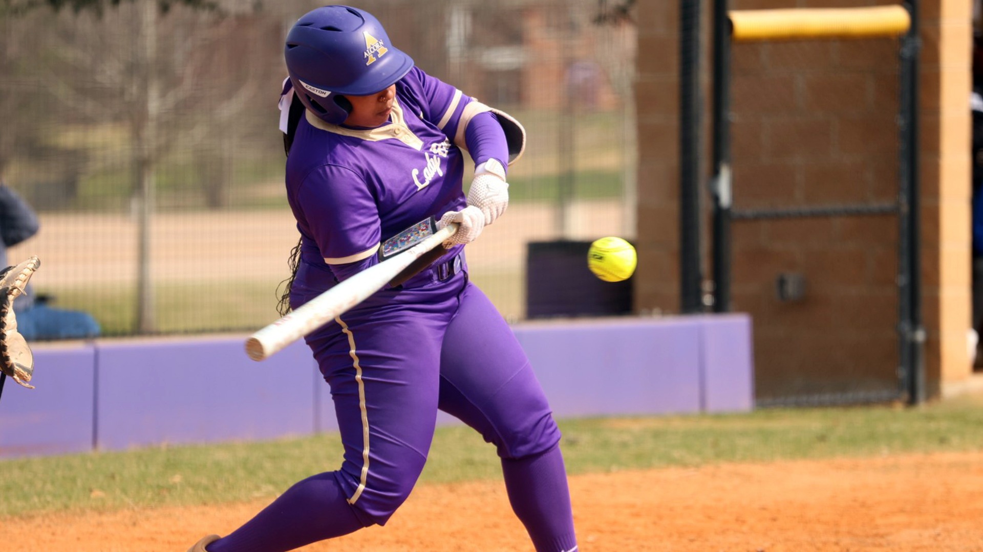 Softball at Home versus Dillard 2026