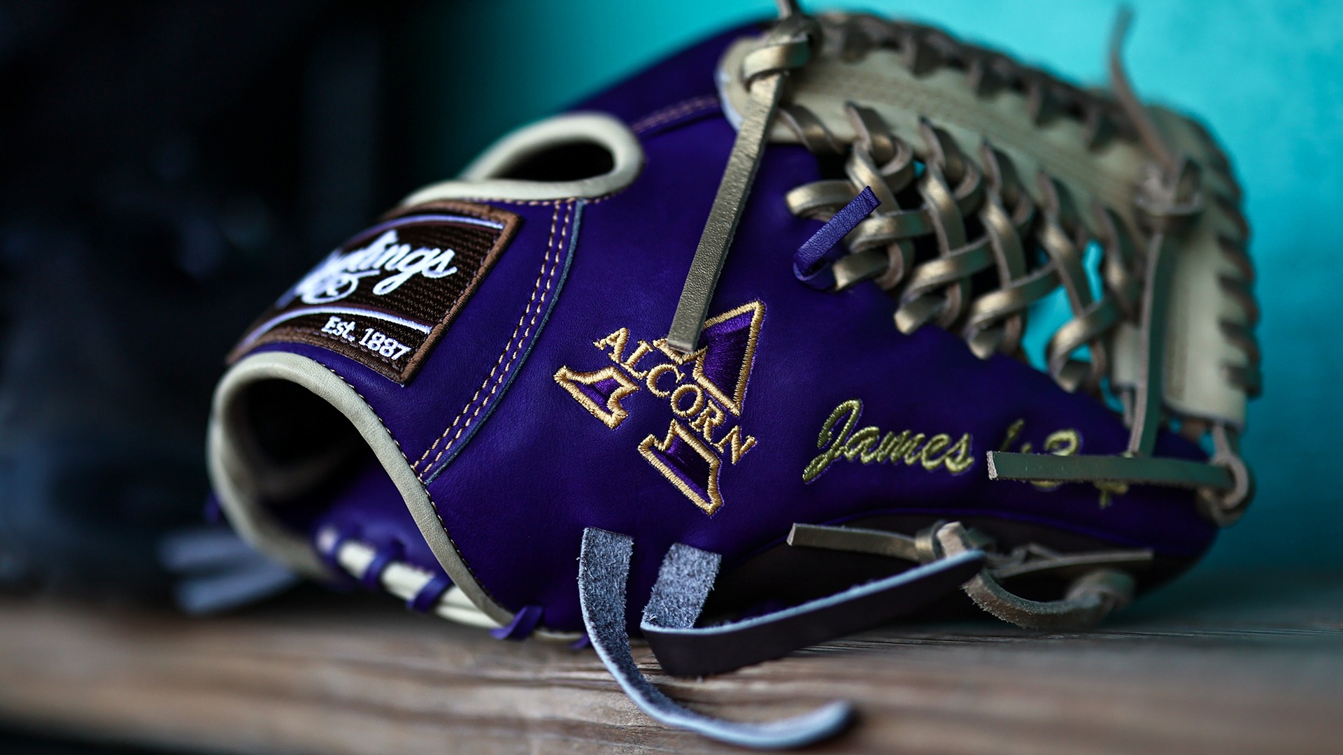 Alcorn Baseball Glove in Dugout 2026