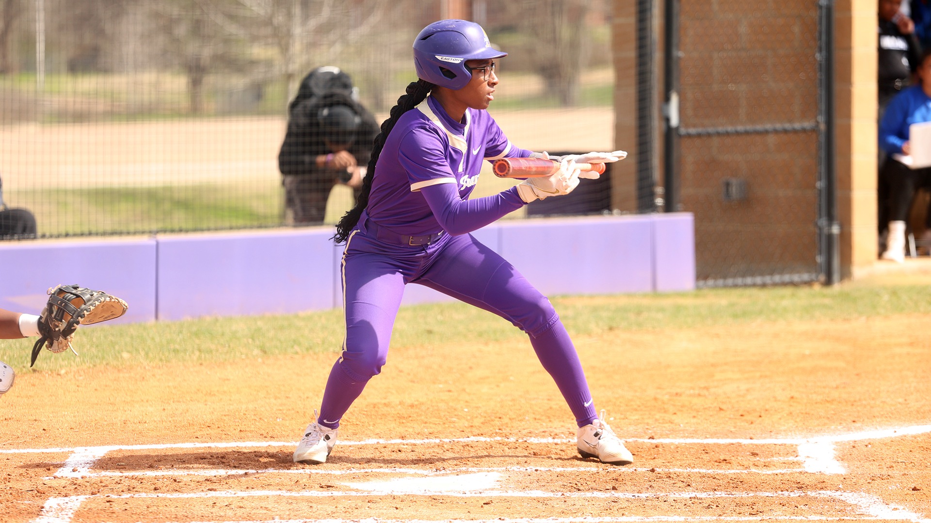 Softball Bunt vs. Dillard at the Plate 2026 at Home