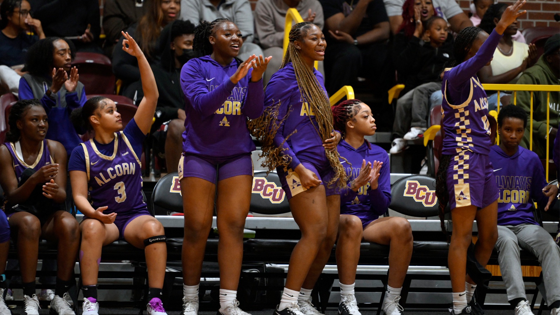 WBB Bench at Bethune-Cookman edited Adidas Logo